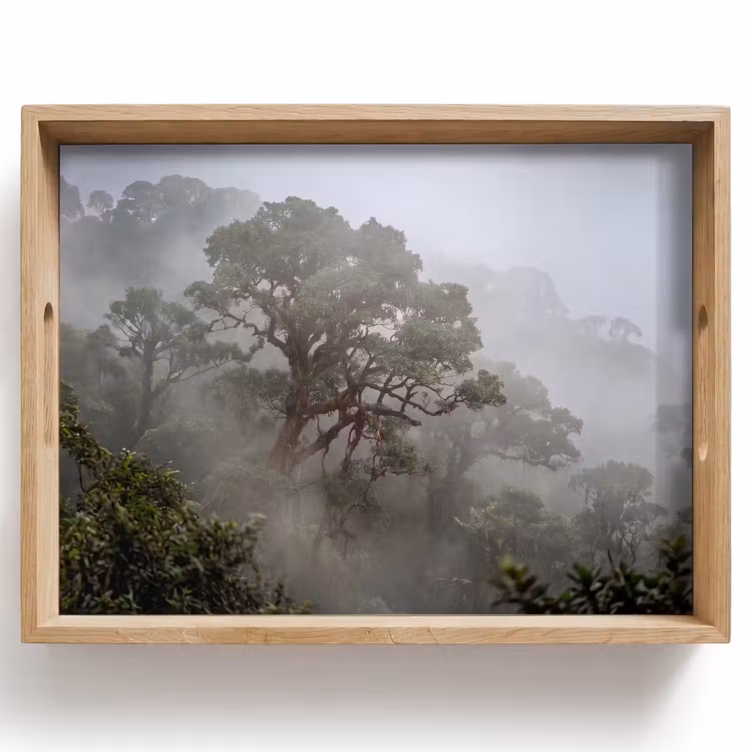 Boom - Mistig - Bos - Groen - Natuur Dienblad Rechthoek middel -z3d_shopping
