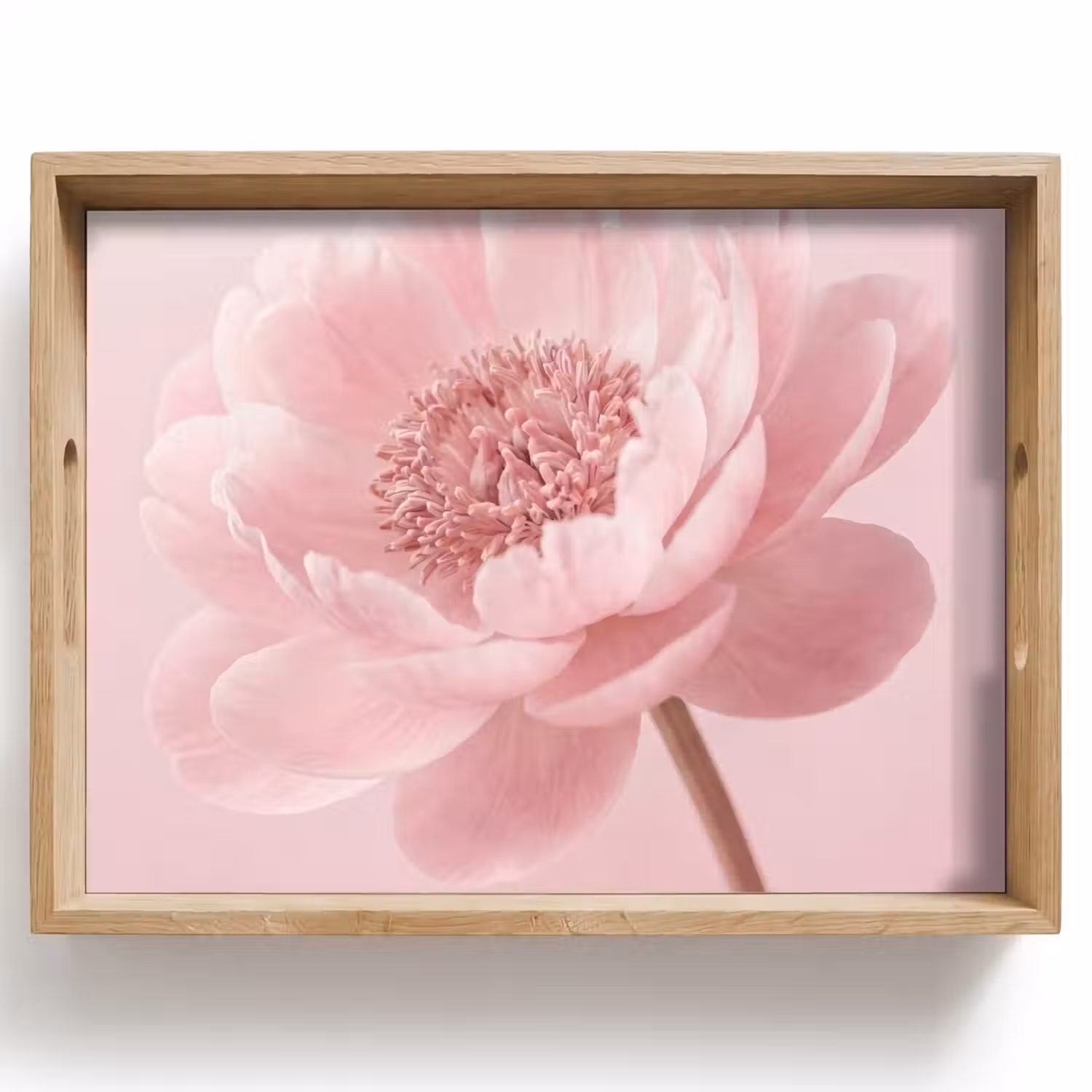 Bloem - Pioenroos - Roze Dienblad Rechthoek middel -z3d_shopping