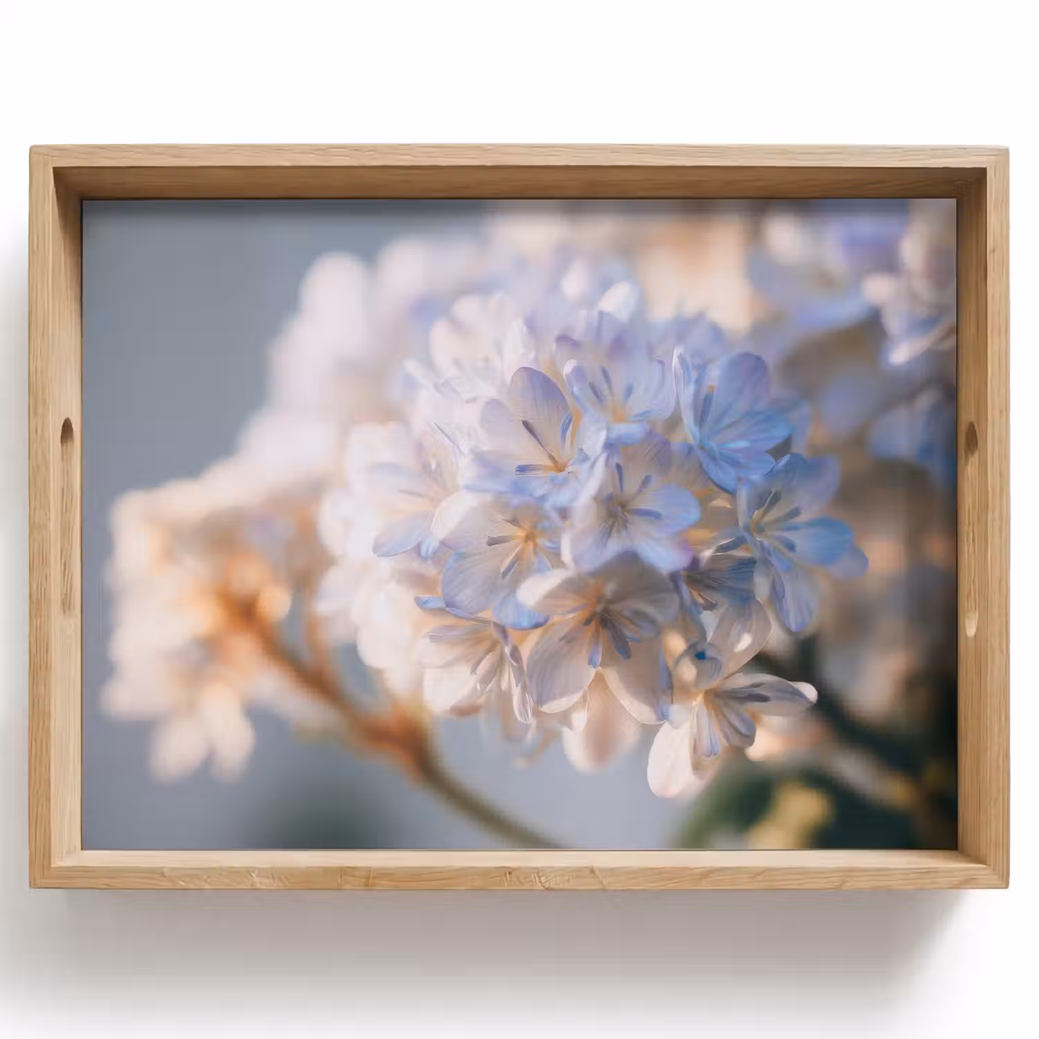 Bloemen - Lichtblauw - Wazig - Trosje Dienblad Rechthoek middel -z3d_shopping