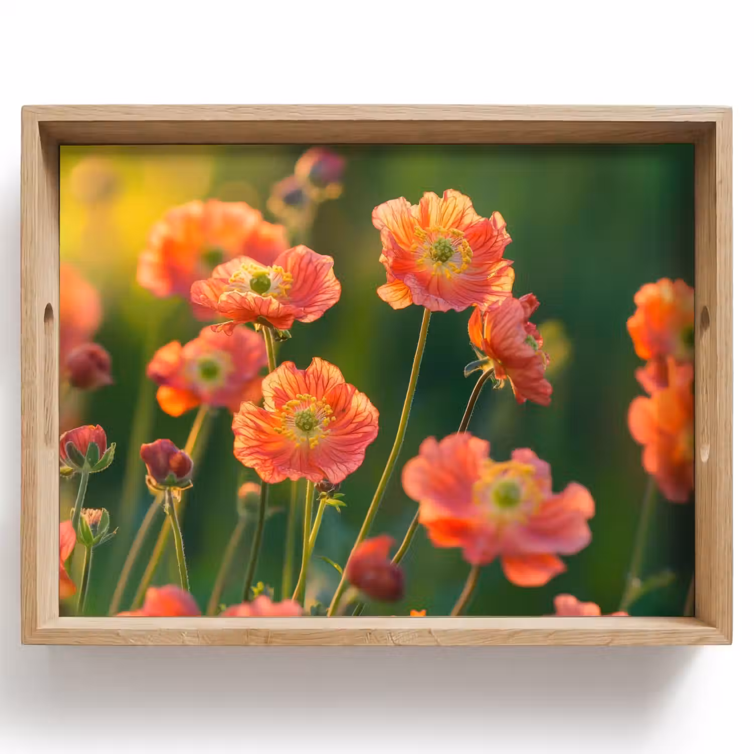 Bloemenveld - Zonnestralen - Oranje Dienblad Rechthoek middel -z3d_shopping