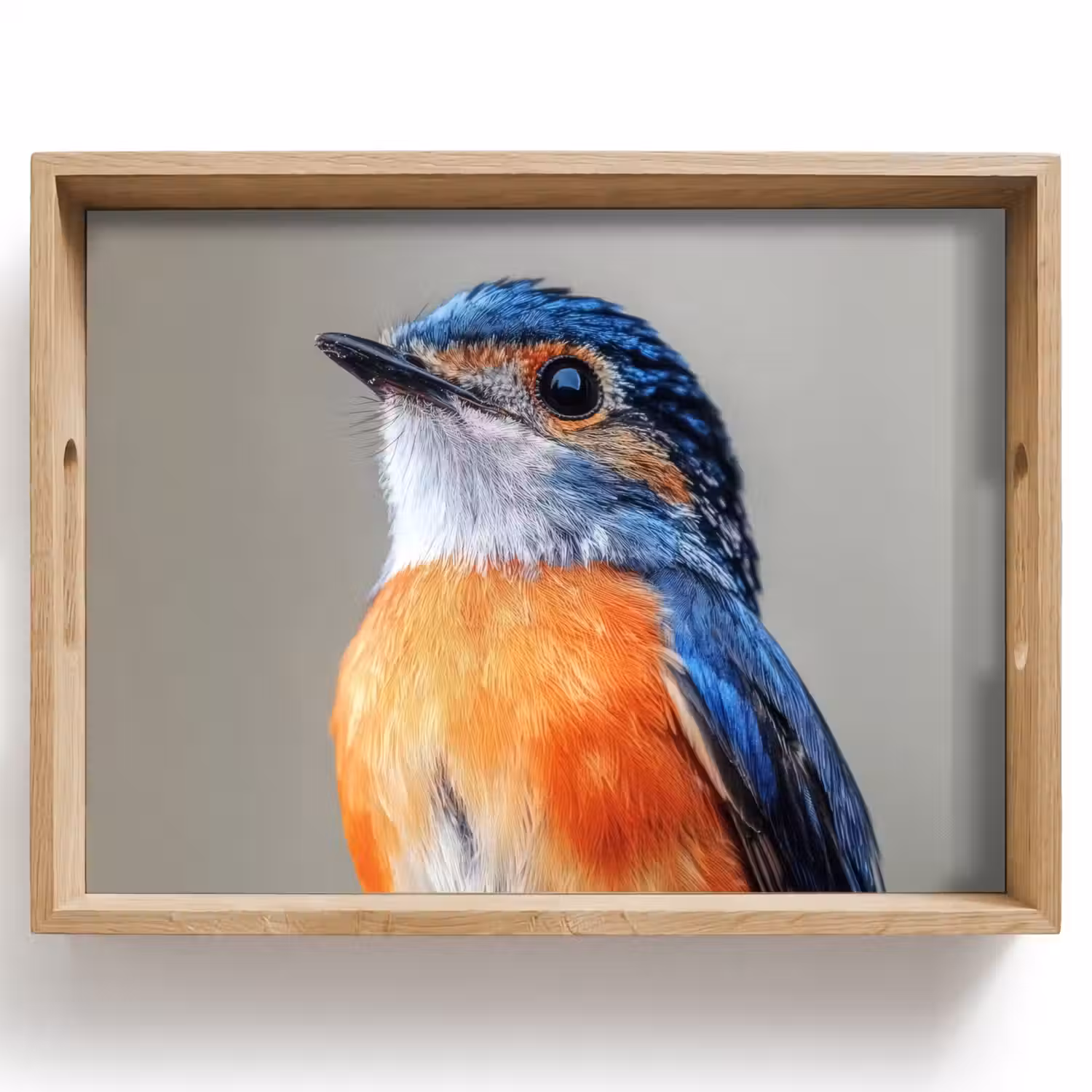 Kleurrijk - Vogeltje - Veren - Blauw Dienblad Rechthoek middel -z3d_shopping