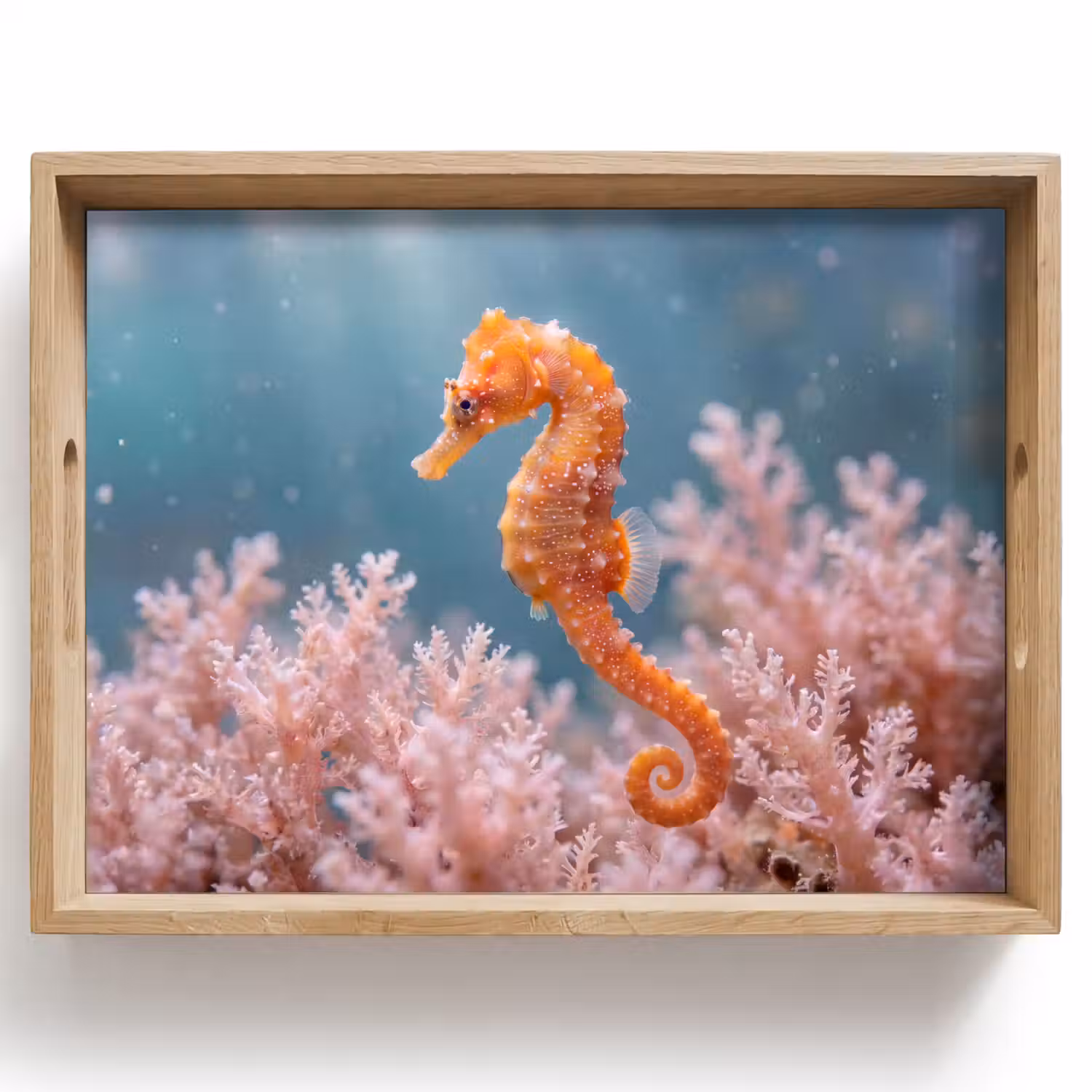 Vis - Koraal - Oceaan - Macro - Oranje Dienblad Rechthoek middel -z3d_shopping