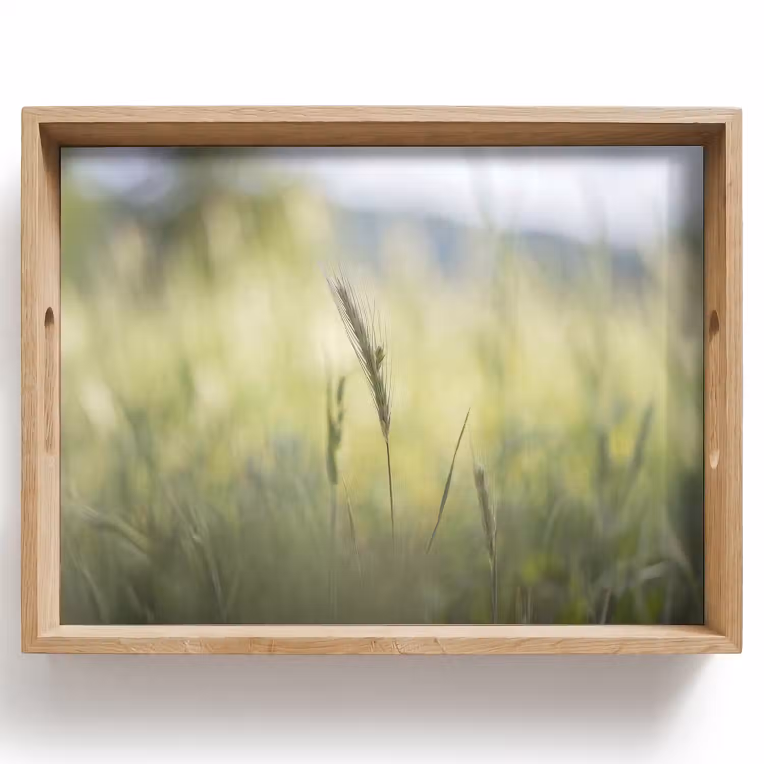 Graan - Aar - Natuur - Groen - Detail Dienblad Rechthoek middel -z3d_shopping