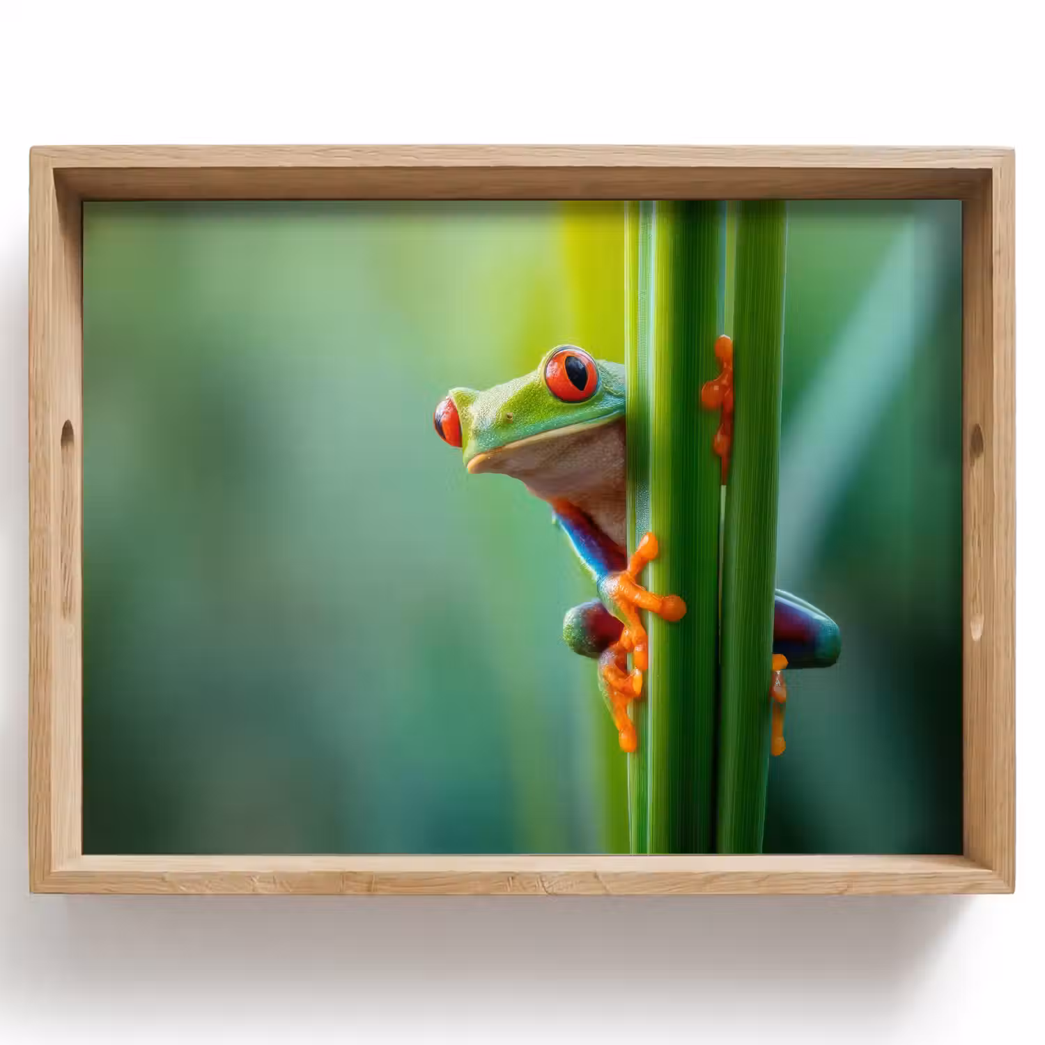 Groene kikker - Nieuwsgierig - Gras Dienblad Rechthoek middel -z3d_shopping