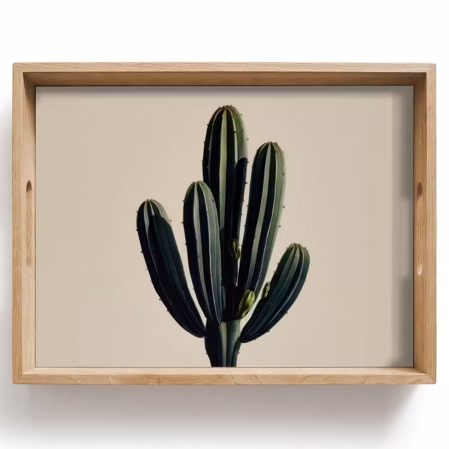 Cactus - Subtiel - Groen Dienblad Rechthoek middel -z3d_shopping