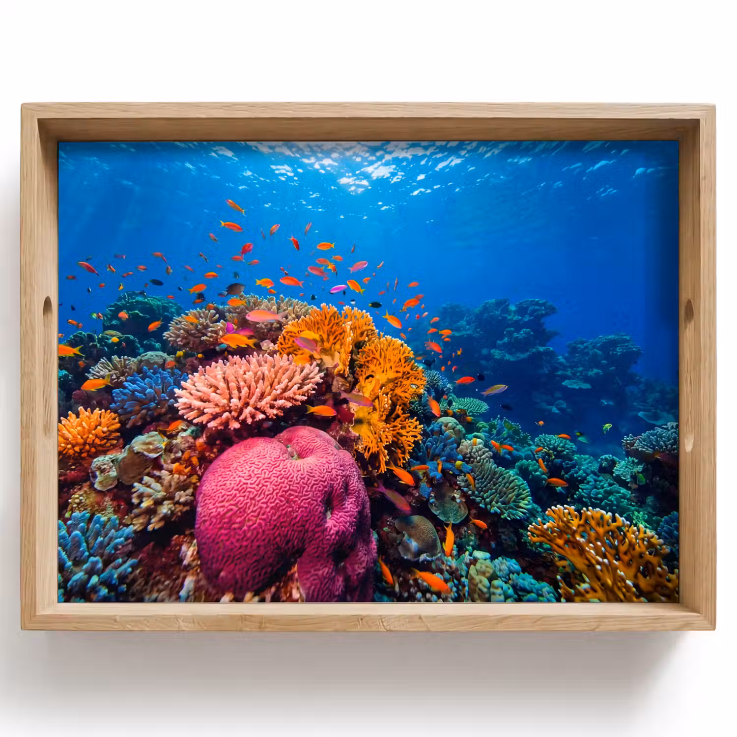 Koraal - Vissen - Oceaan - Natuur - Kleurrijk Dienblad Rechthoek middel -z3d_shopping