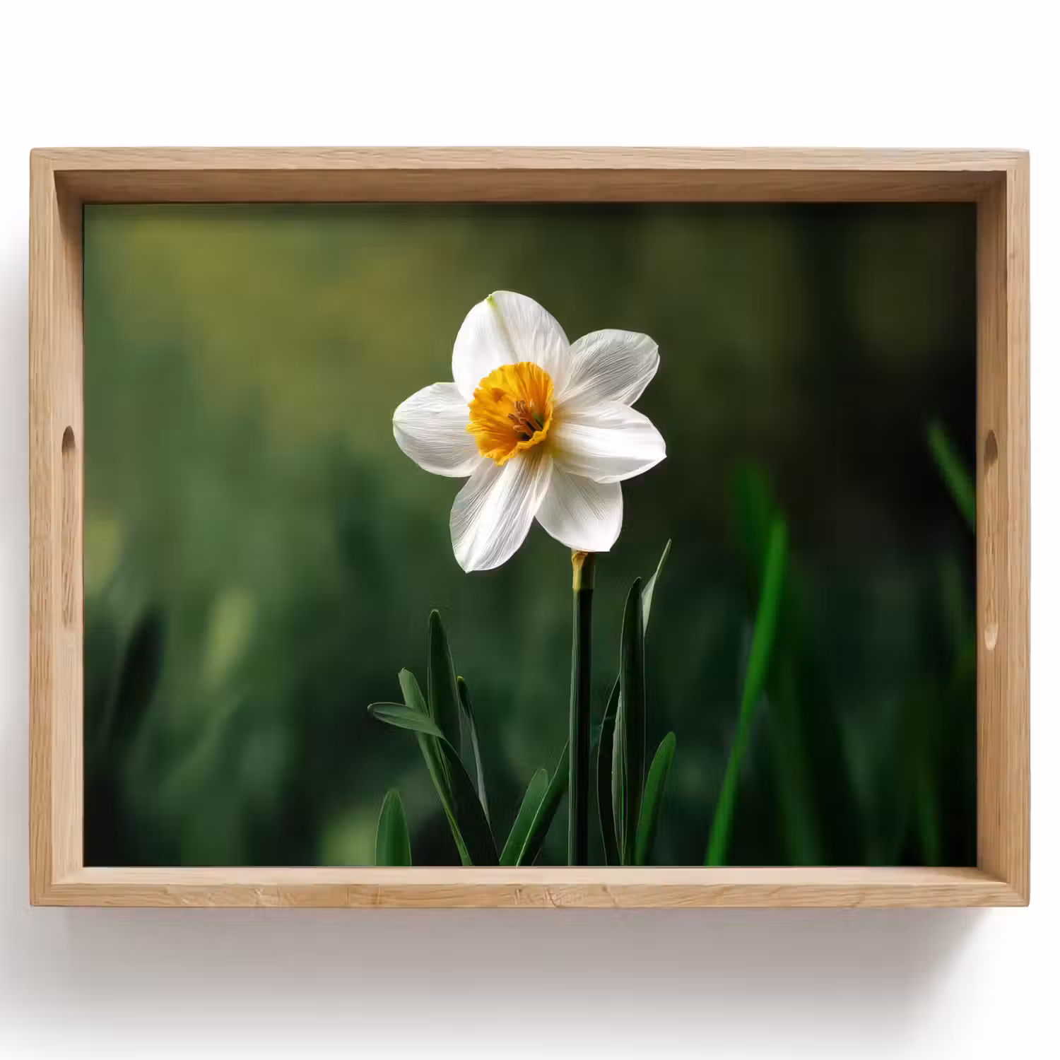 Narcis - Bloem - Wit - Grassprieten Dienblad Rechthoek middel -z3d_shopping