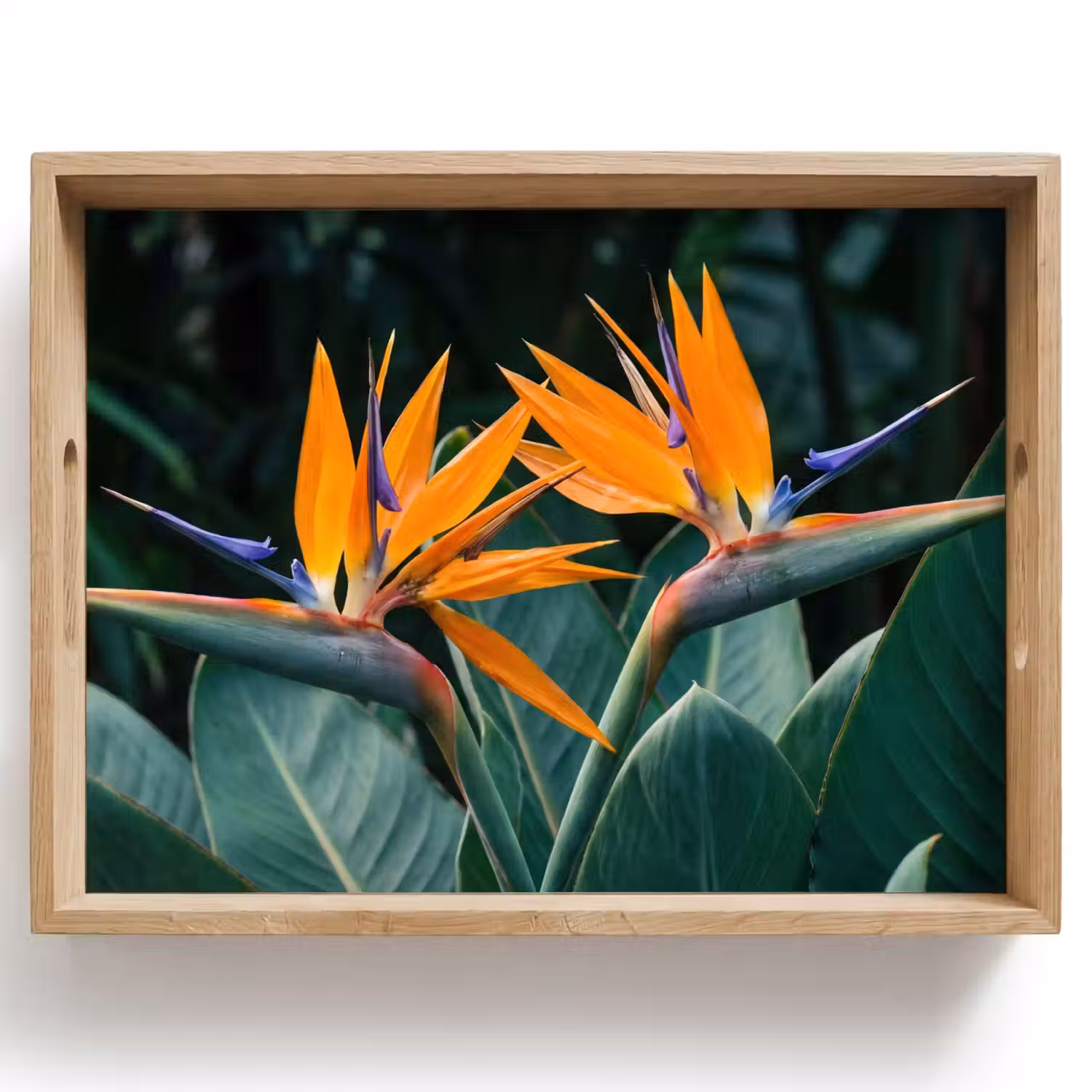 Paradijsvogel - Bloem - Exotisch Dienblad Rechthoek middel -z3d_shopping