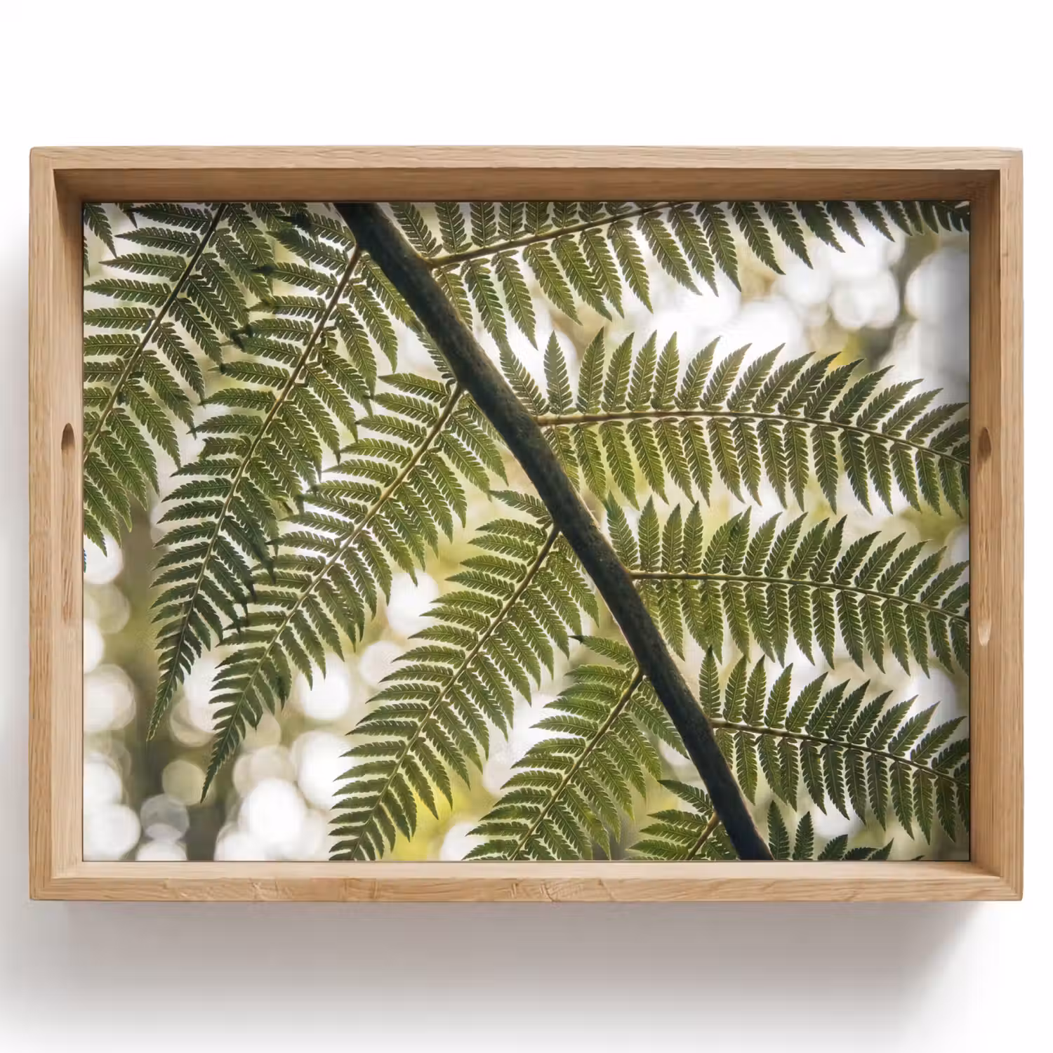 Plant - Blad - Natuur - Groen - Detail Dienblad Rechthoek middel -z3d_shopping