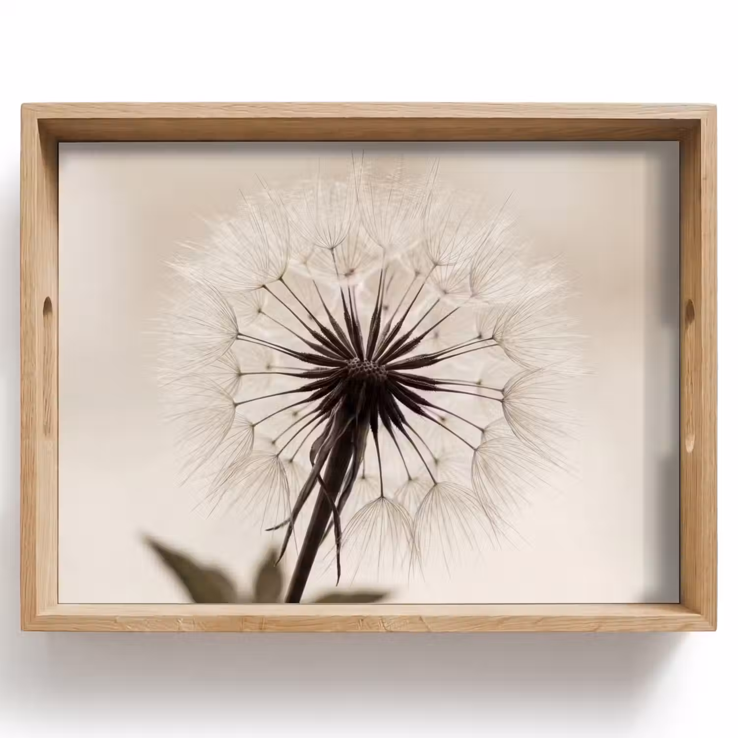 Paardenbloem - Minimalistisch - Wit Dienblad Rechthoek middel -z3d_shopping