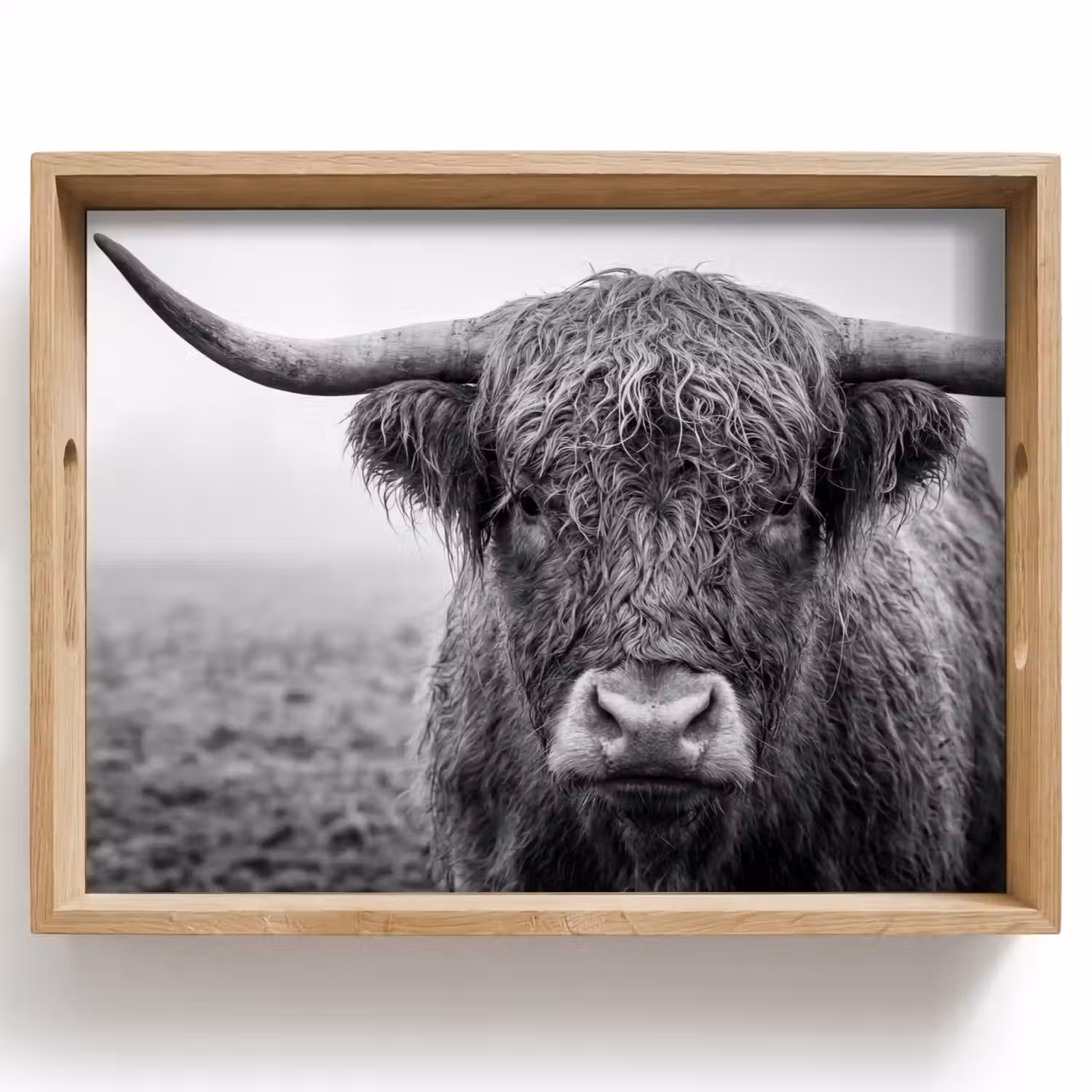 Schotse hooglander - Zwart - Wit - Gras Dienblad Rechthoek middel -z3d_shopping