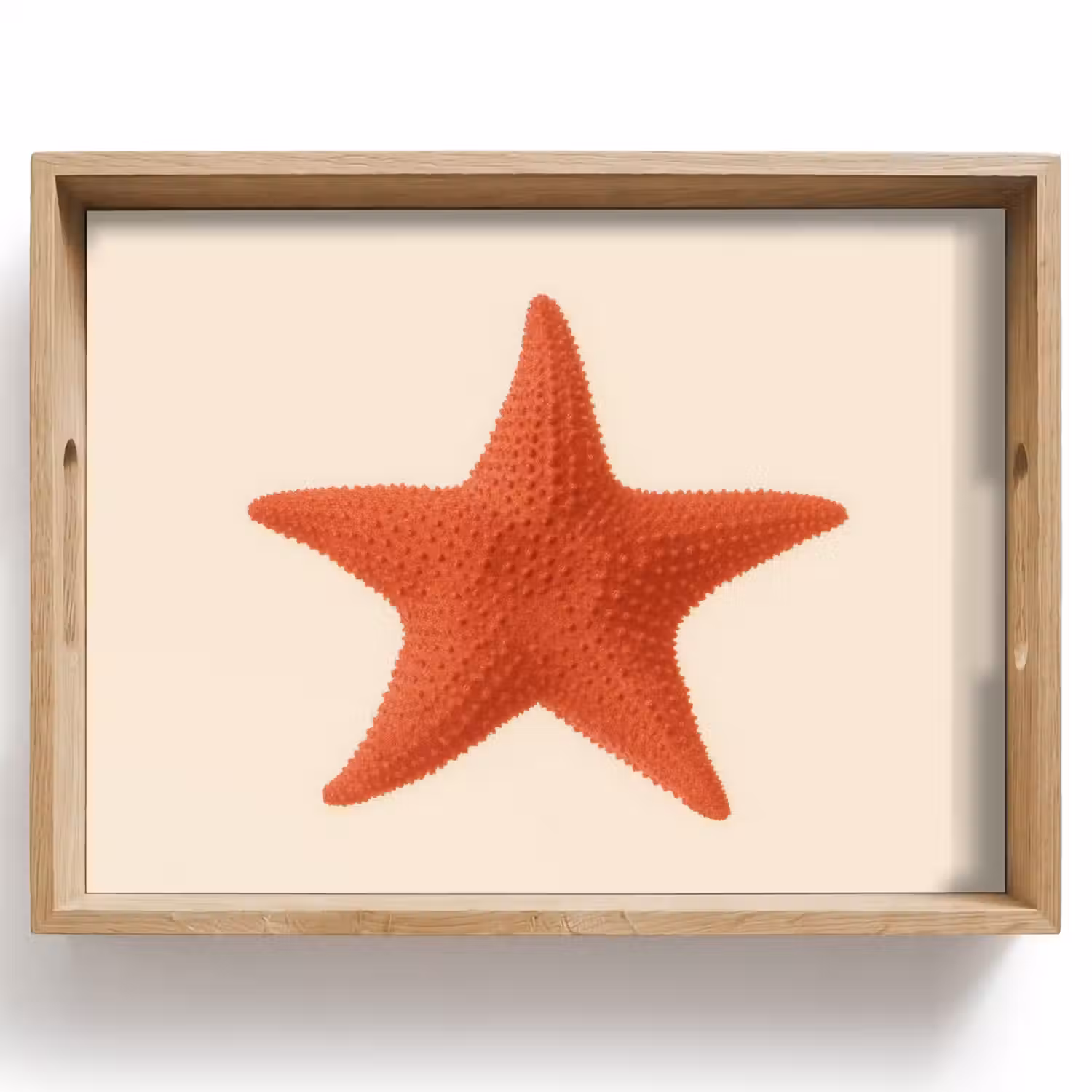 Zeester - Bobbels - Rood Dienblad Rechthoek middel -z3d_shopping