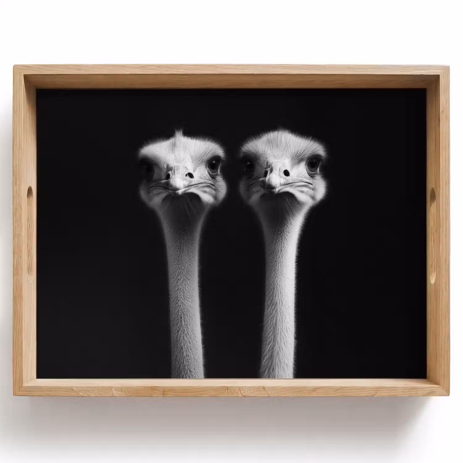 Struisvogels - Halzen - Zwart - Minimalistisch Dienblad Rechthoek middel -z3d_shopping
