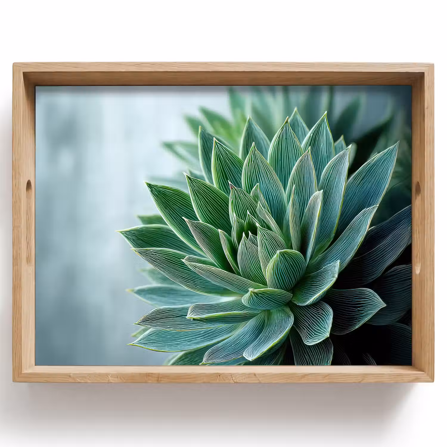 Vetplant - Bladeren - Groen - Wazig Dienblad Rechthoek middel -z3d_shopping