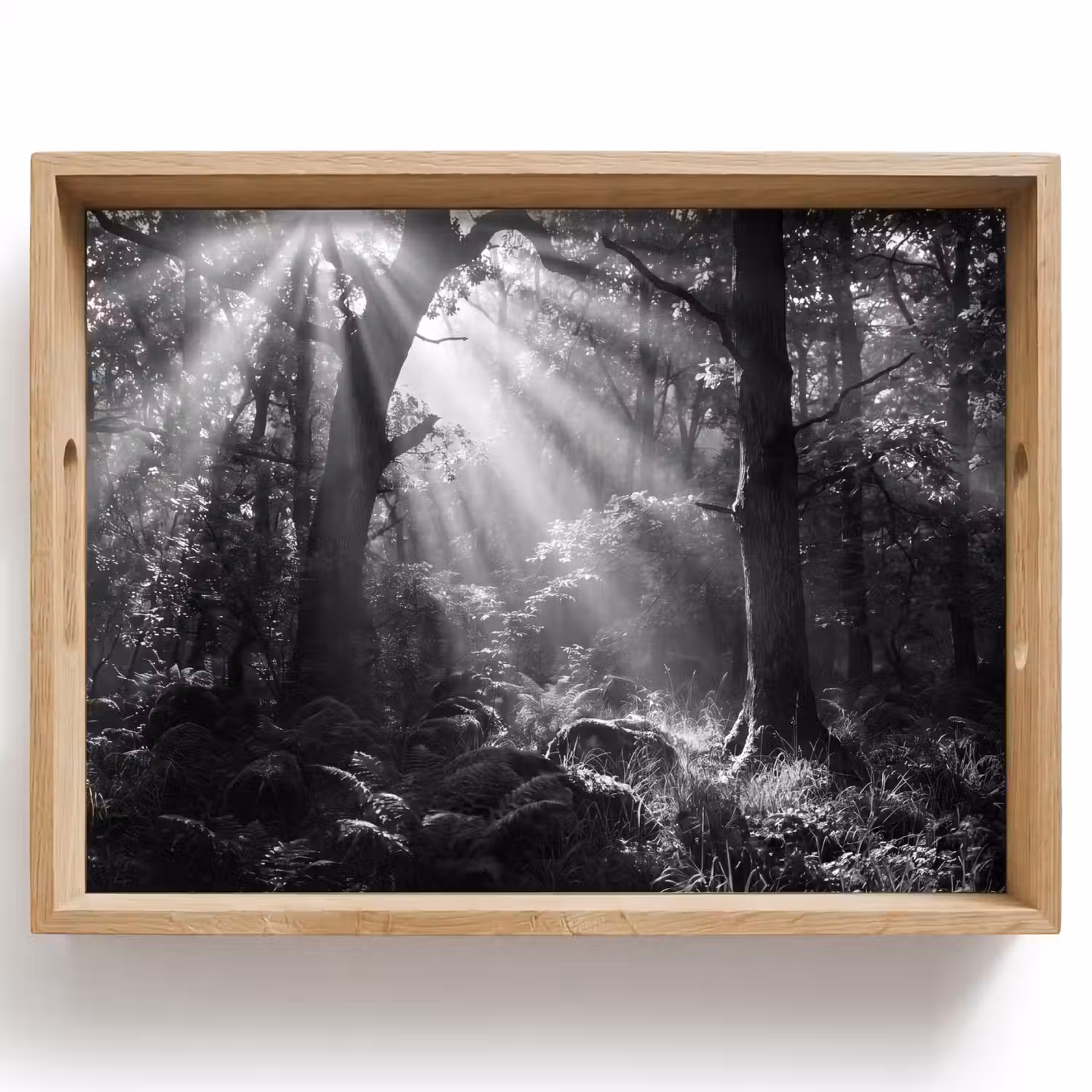 Bos - Lichtstralen - Natuur - Zwart-wit Dienblad Rechthoek middel -z3d_shopping