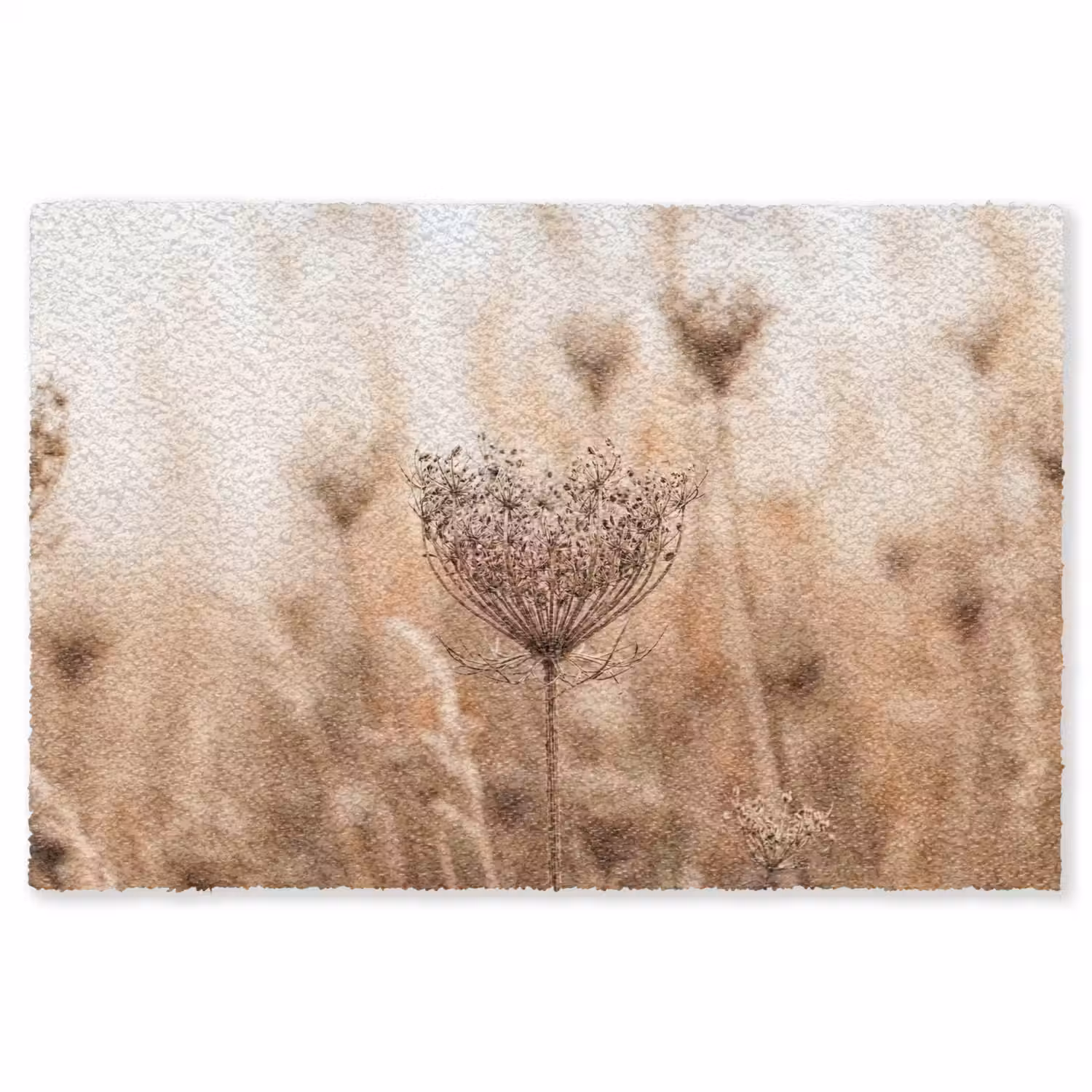 Schermbloem - Droogbloem - Winter - Beige - Minimalistisch Vloerkleed Rechthoek klein -3d