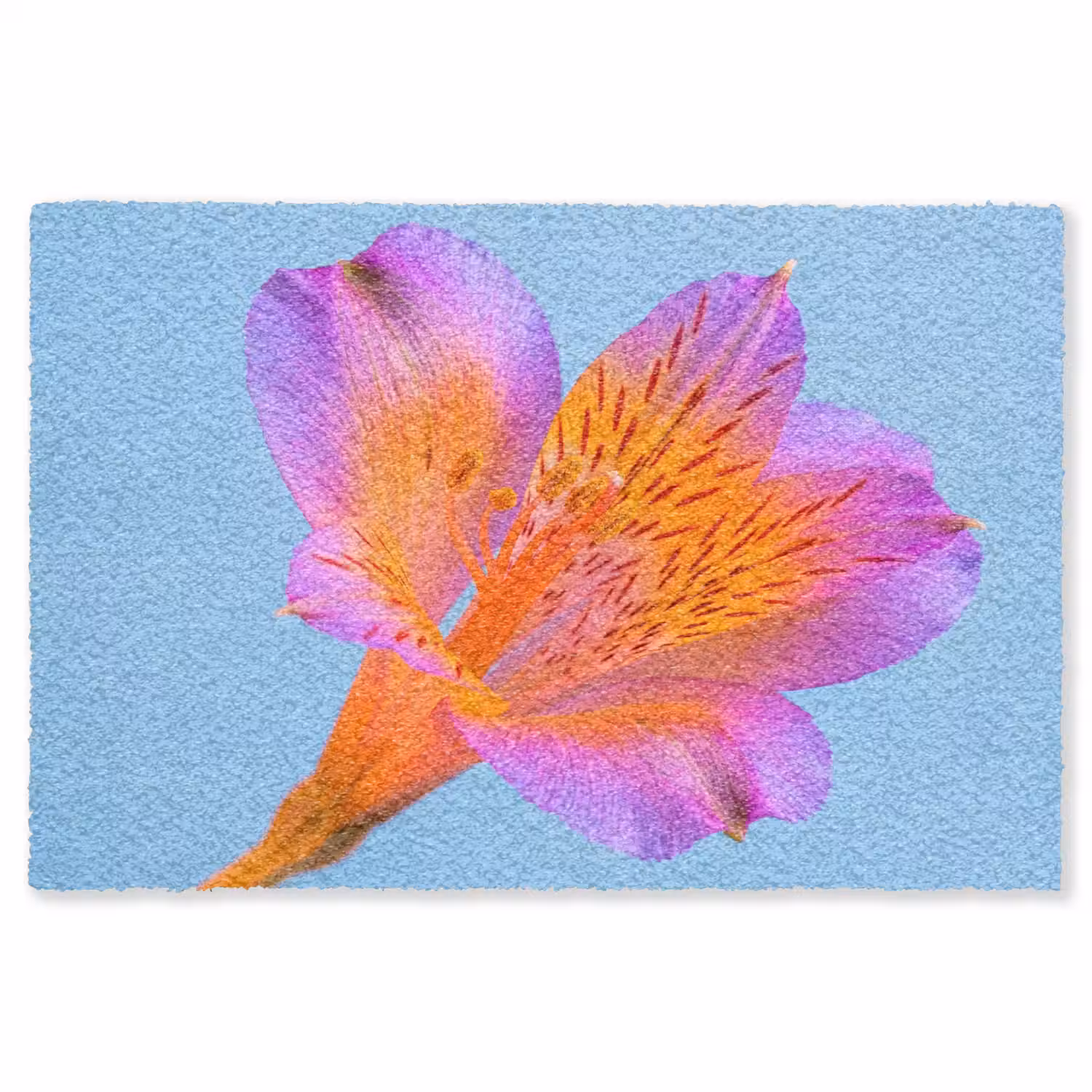 Bloem - Detail - Kleurrijk Vloerkleed Rechthoek klein -3d
