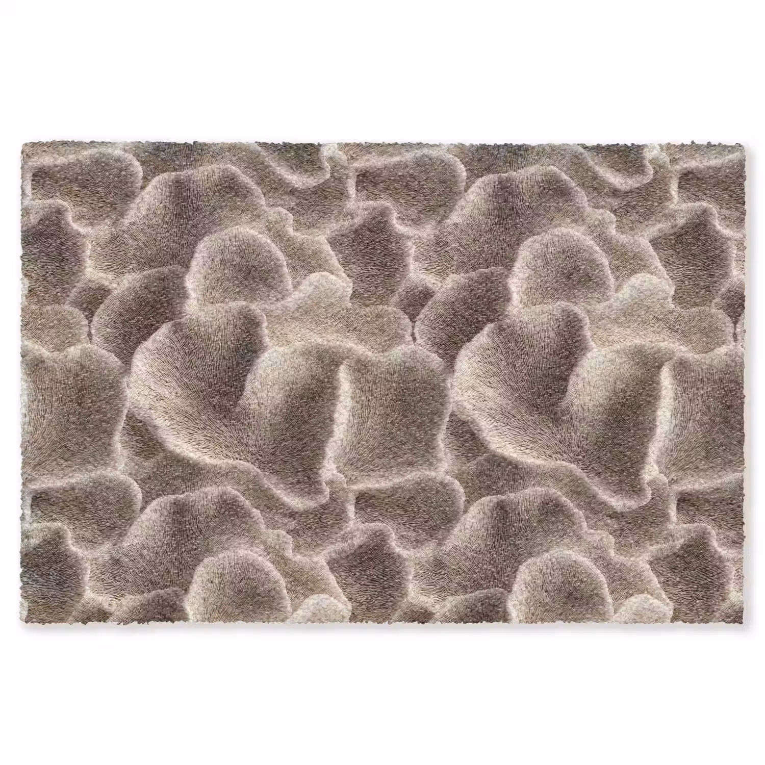 Waaiervorm - Beige - Vezel textuur Vloerkleed Rechthoek klein 1091 -3d