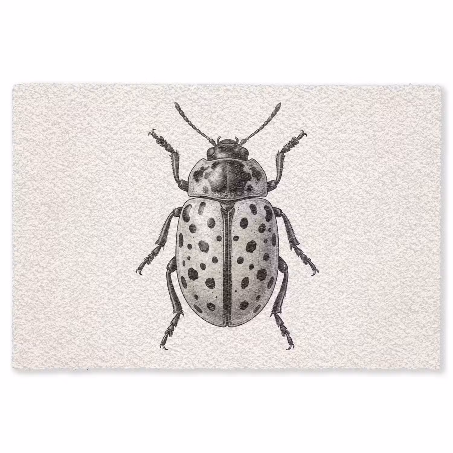 Kever - Insect - Vintage Vloerkleed Rechthoek klein -3d