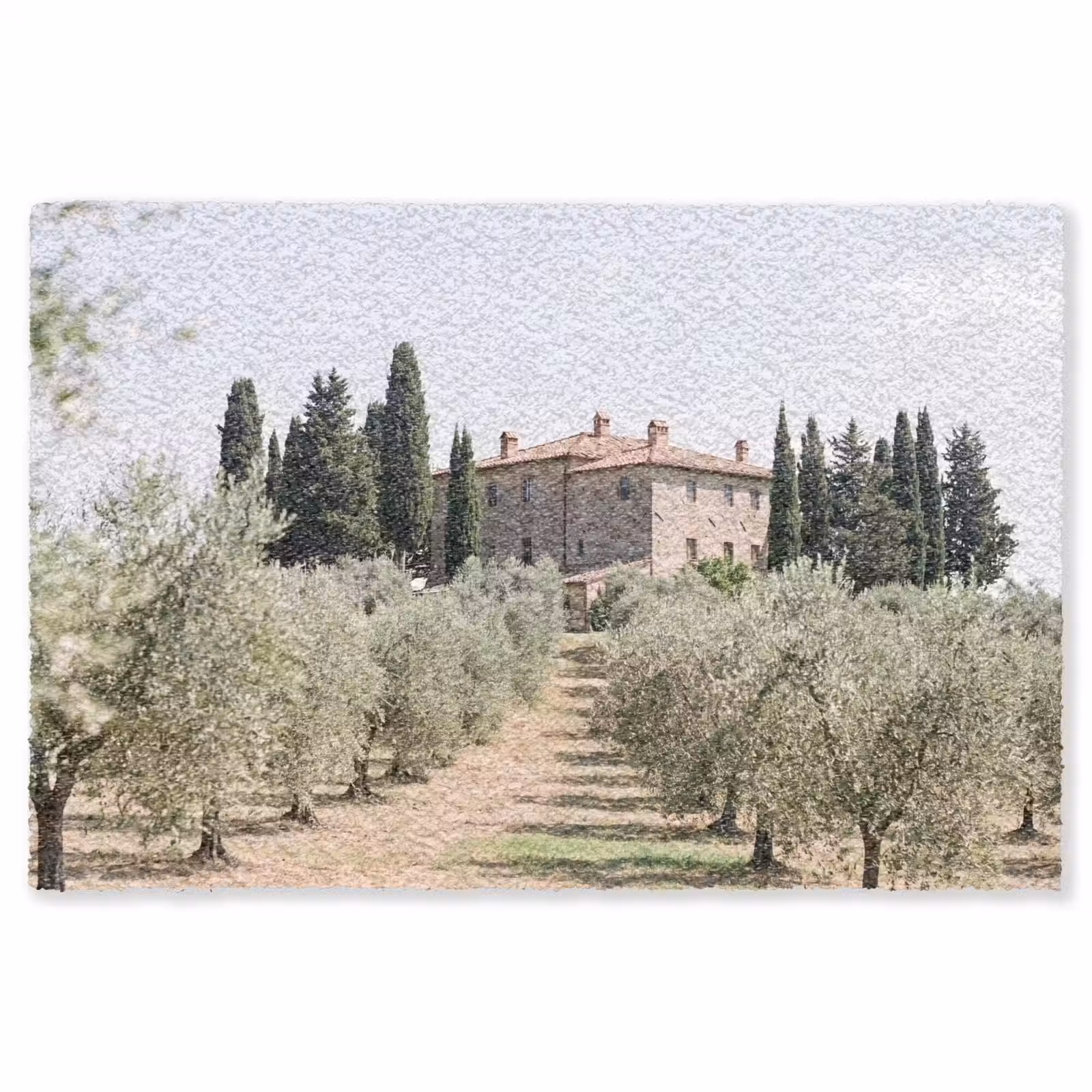 Teppich - Landhaus – Olivenbaum – Obstgarten - Landhuis - olijfboom - gaard Vloerkleed Rechthoek klein