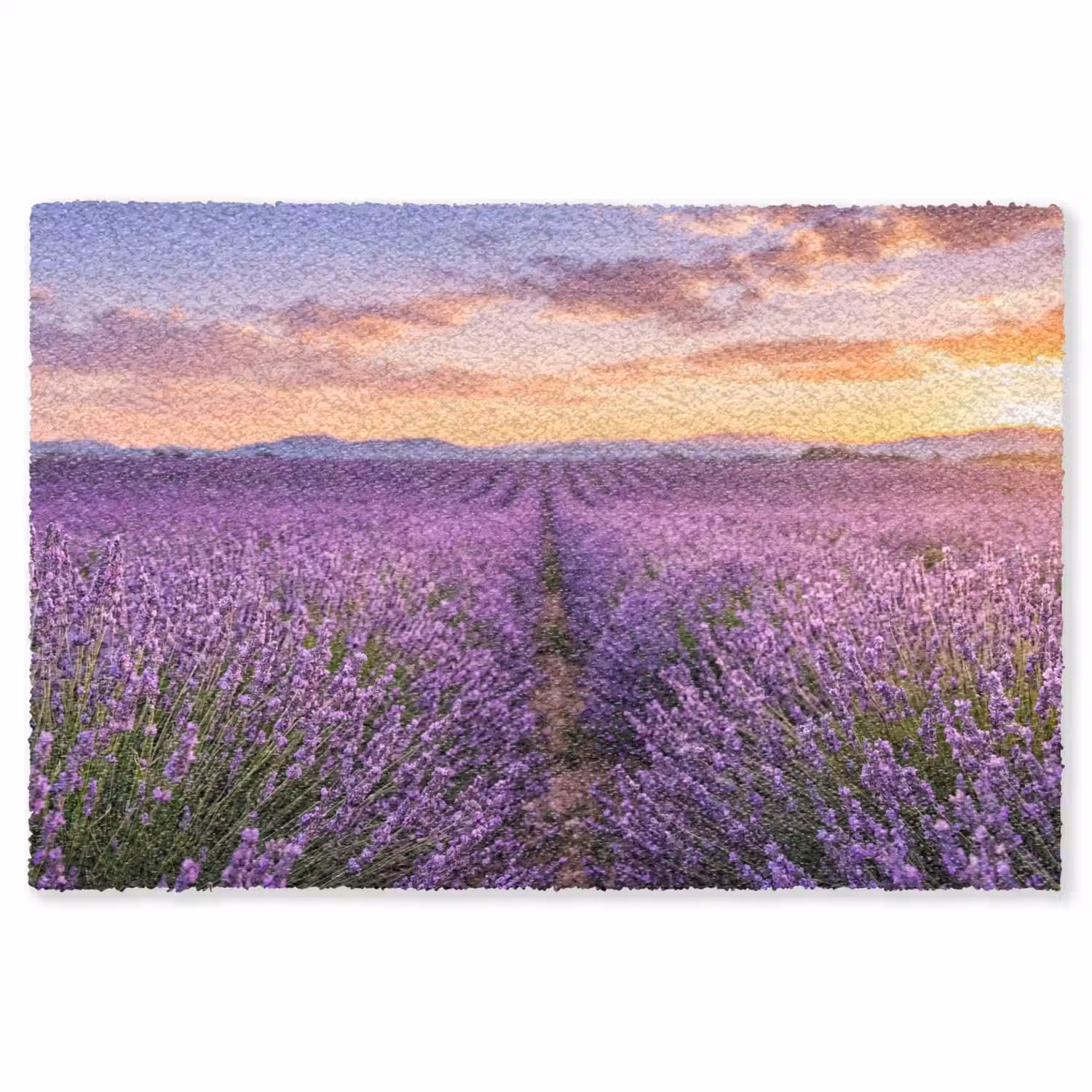 Lavendel - Veld - Natuur - Paars Vloerkleed Rechthoek klein -3d