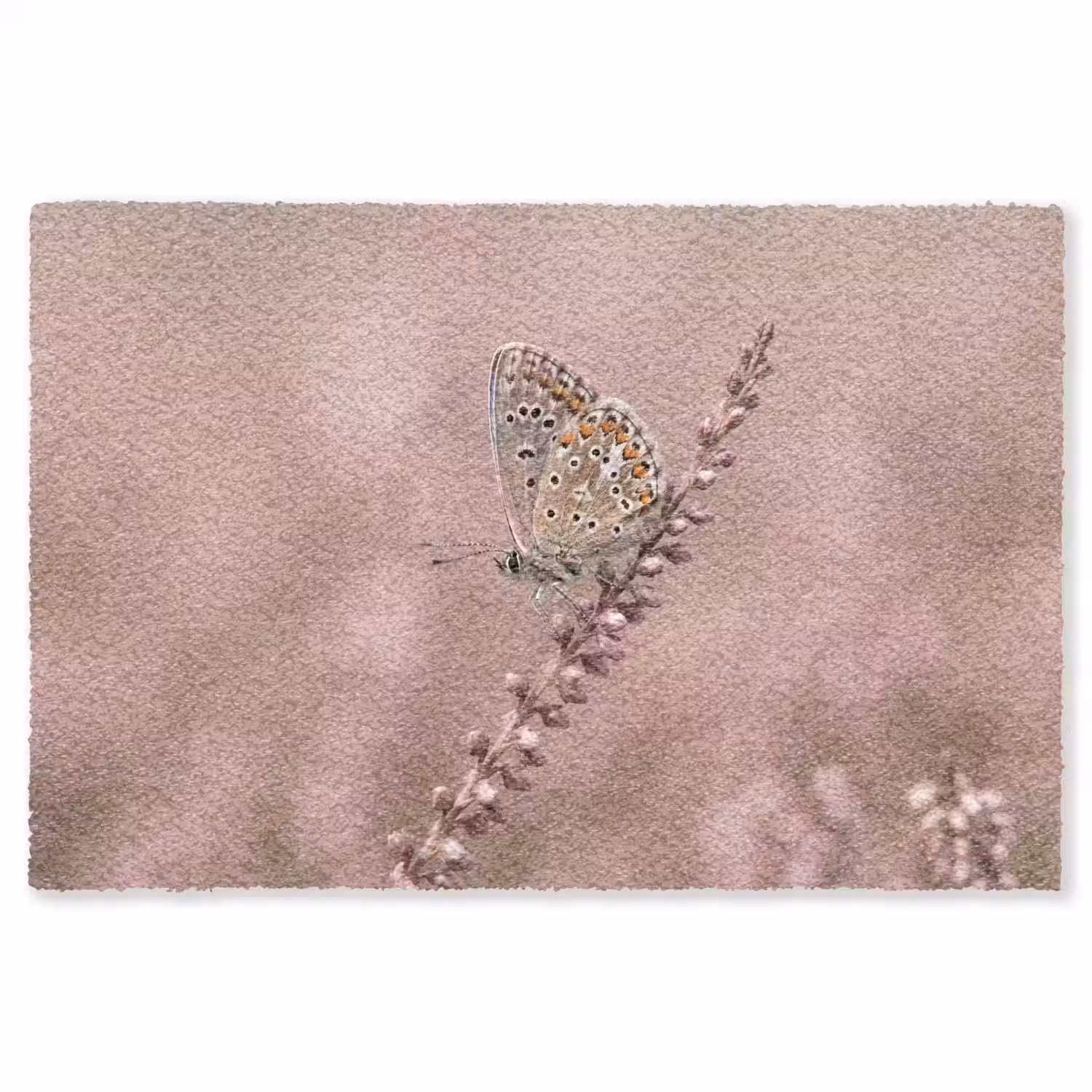 Lavendel - Vlinder - Paars Vloerkleed Rechthoek klein -3d