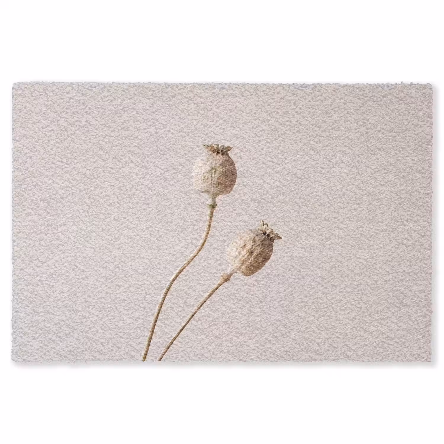 Papaverbollen - Droogbloemen - Minimalistisch - Beige - Rustig Vloerkleed Rechthoek klein -3d