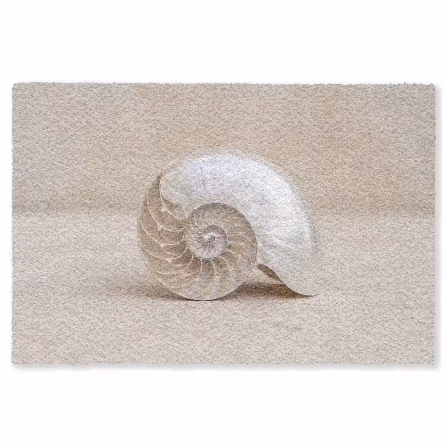 Schelp - Spiraal - Beige Vloerkleed Rechthoek klein -3d