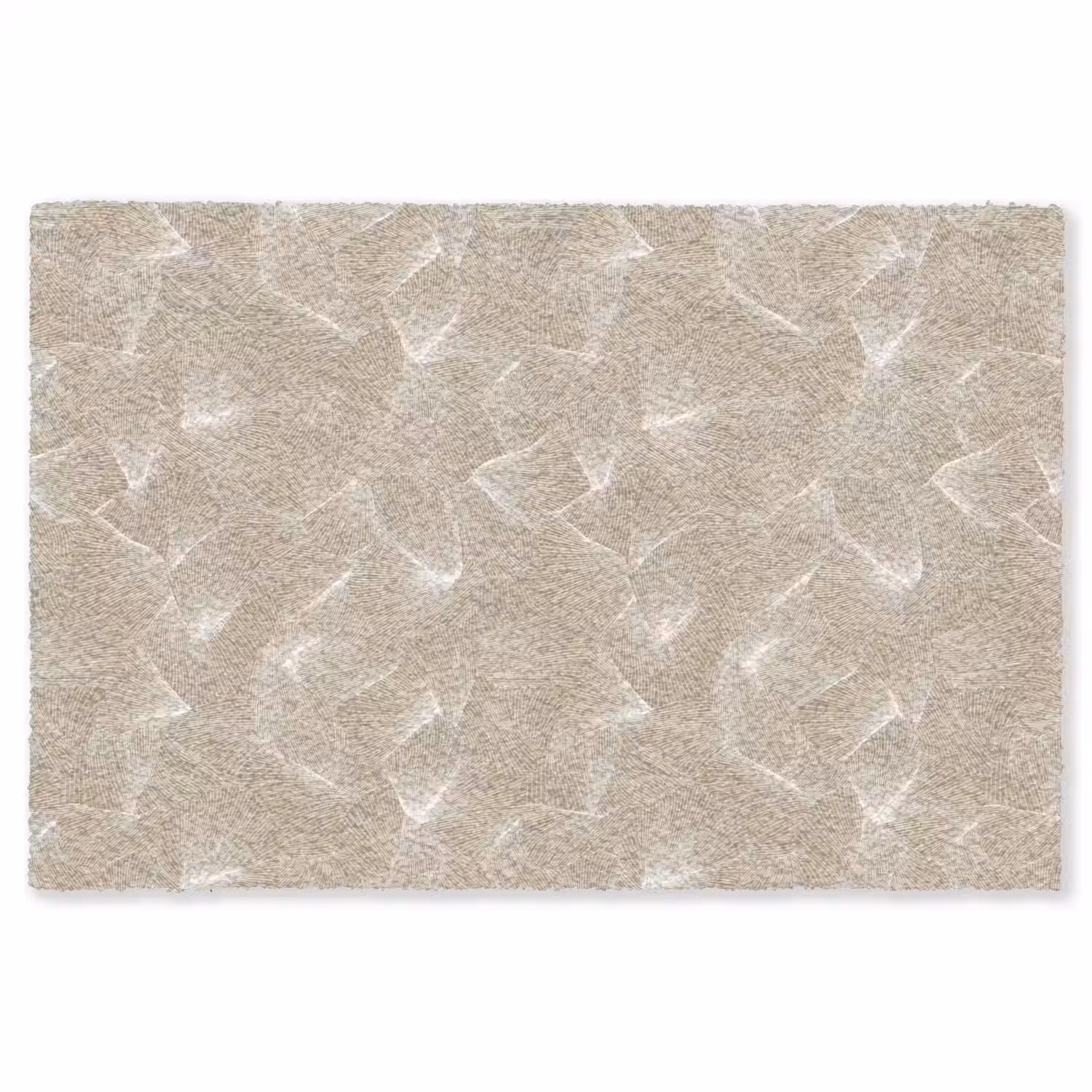Organisch - Textuur - Beige Vloerkleed Rechthoek klein 1091 -3d