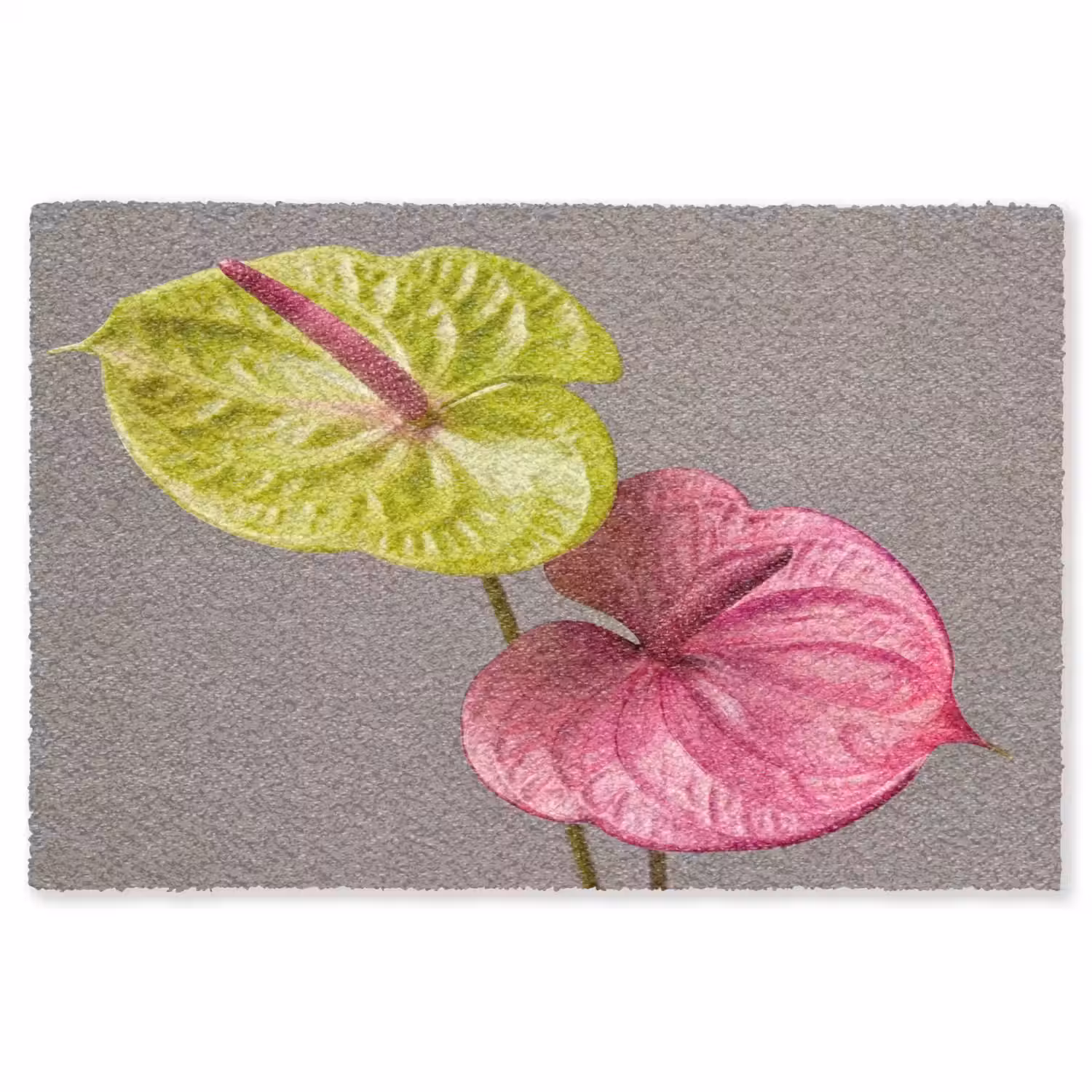 Planten - Anthurium - Groen - Roze Vloerkleed Rechthoek klein -3d