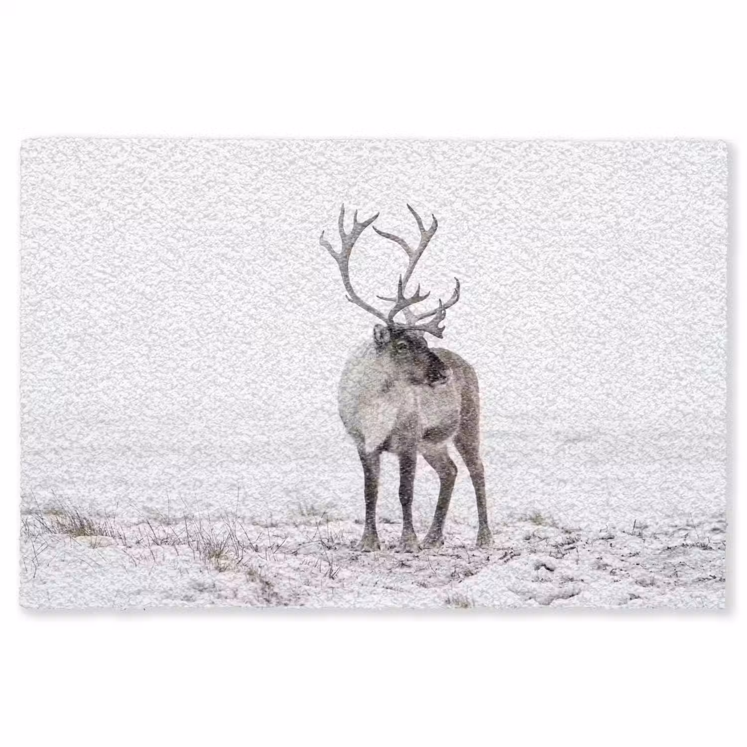 Rendier - Gewei - Sneeuw - Winter Vloerkleed Rechthoek klein -3d