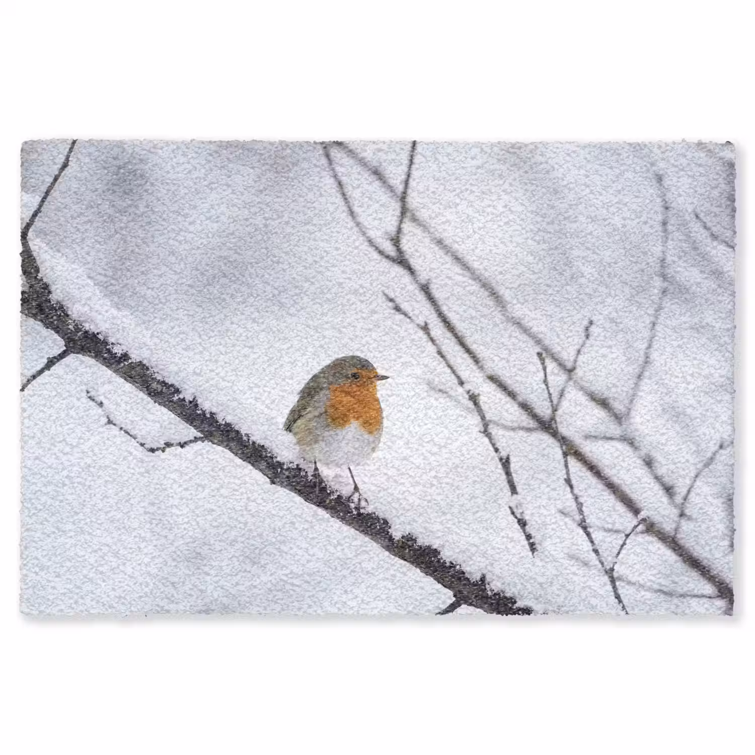 Roodborstje - Tak - Sneeuw - Winter - Levendig Vloerkleed Rechthoek klein -3d