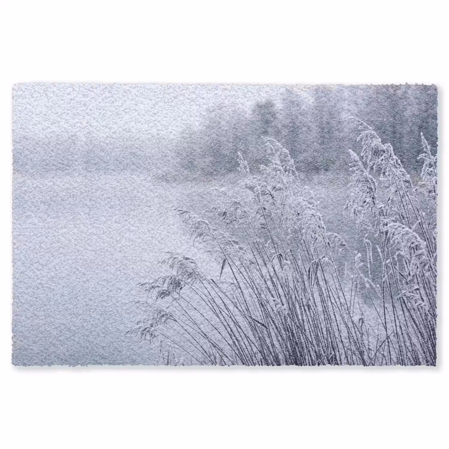 Riet - Bevroren - Winter - Natuur Vloerkleed Rechthoek klein -3d