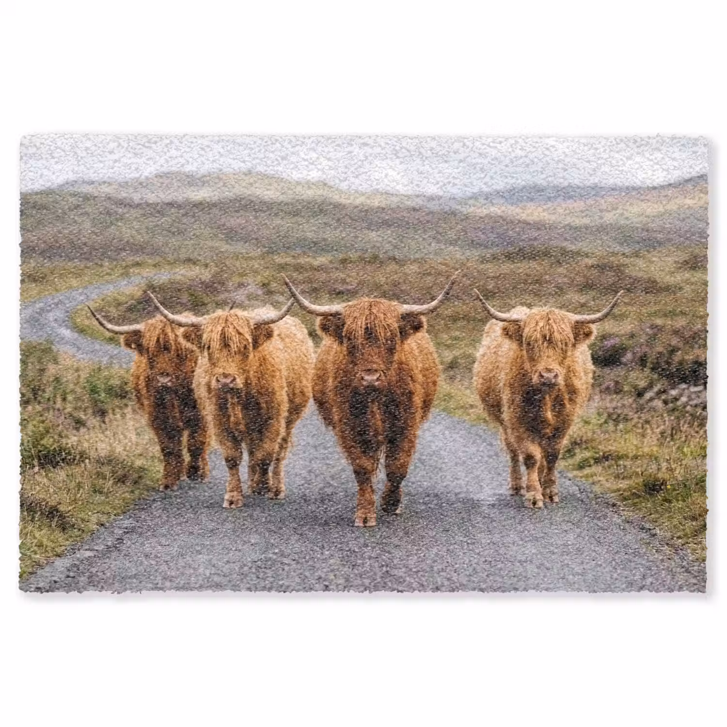 Schotse Hooglanders - Weg - Landschap - Kudde Vloerkleed Rechthoek klein -3d
