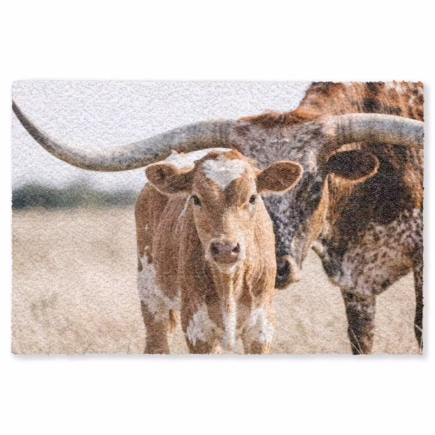 Texas Longhorn - Kalf - Weide - Dieren Vloerkleed Rechthoek klein -3d
