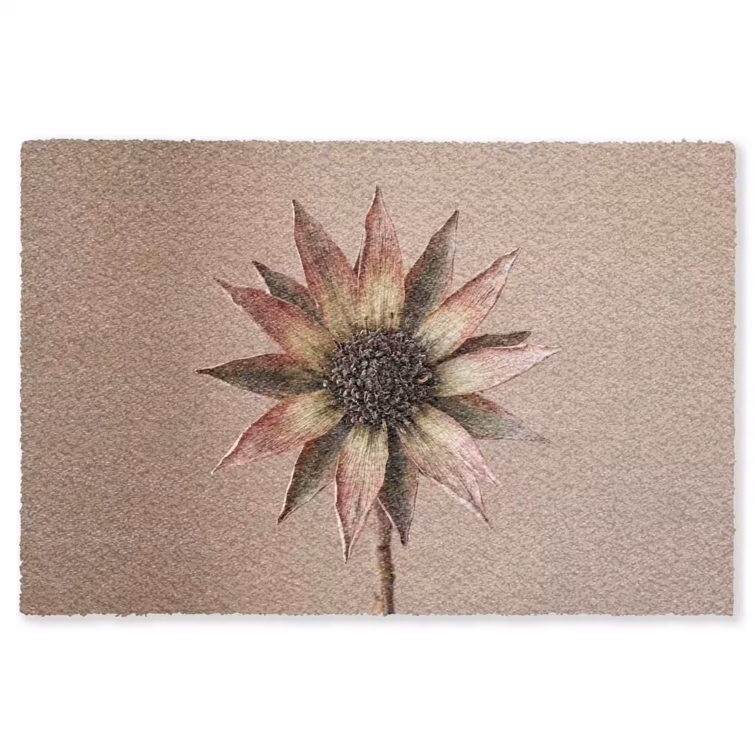 Droogbloem - Protea - Vintage - Beige - Rustiek Vloerkleed Rechthoek klein -3d