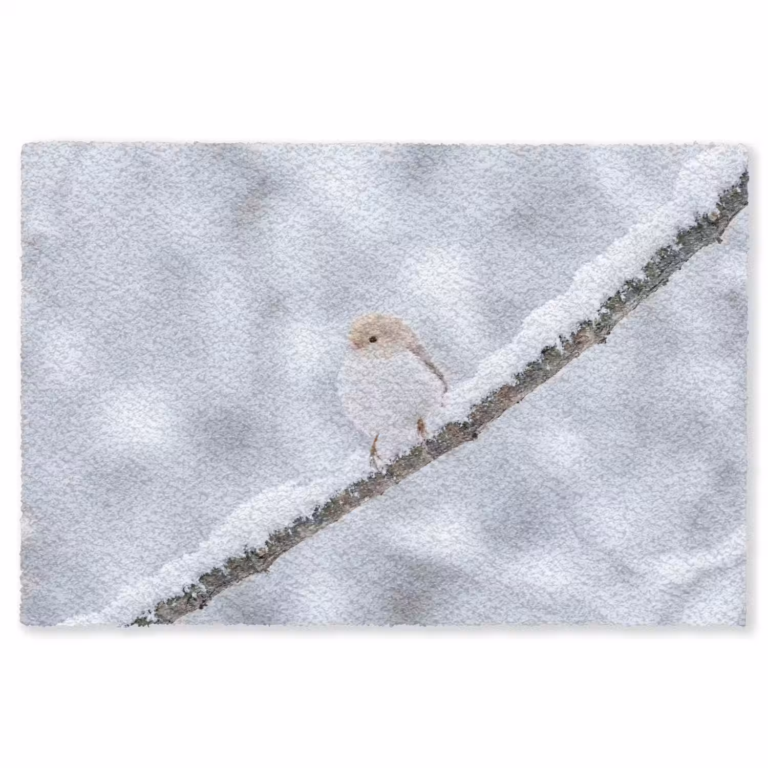 Vogeltje - Sneeuw - Tak - Winter - Zacht Vloerkleed Rechthoek klein -3d