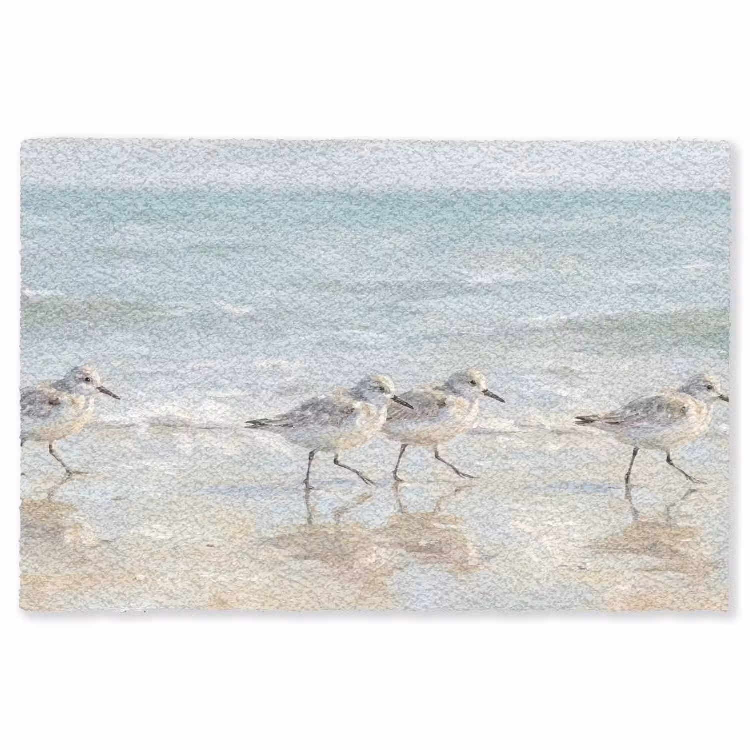 Vogels - Strand - Zee Vloerkleed Rechthoek klein -3d