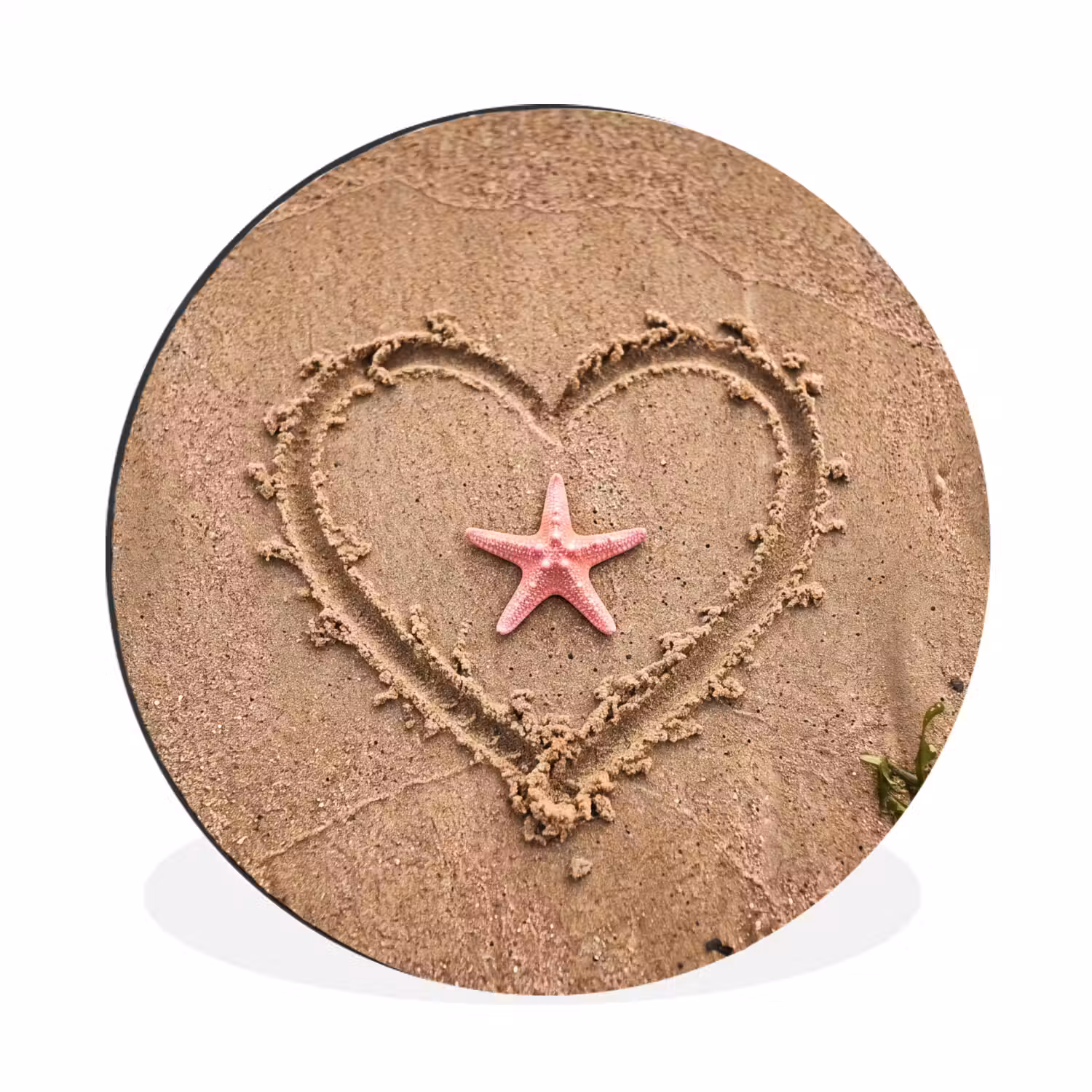 Dieren - Hart - Strand - Zand - Roze Wandcirkel aluminium klein -3d