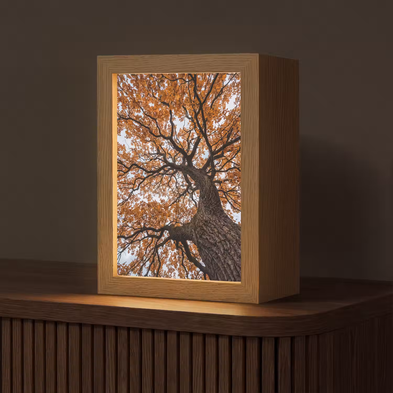 Boom - Bladerdak - Herfst - Oranje - Sfeervol Light Box met kabel (Tafellamp) klein -z3d_website