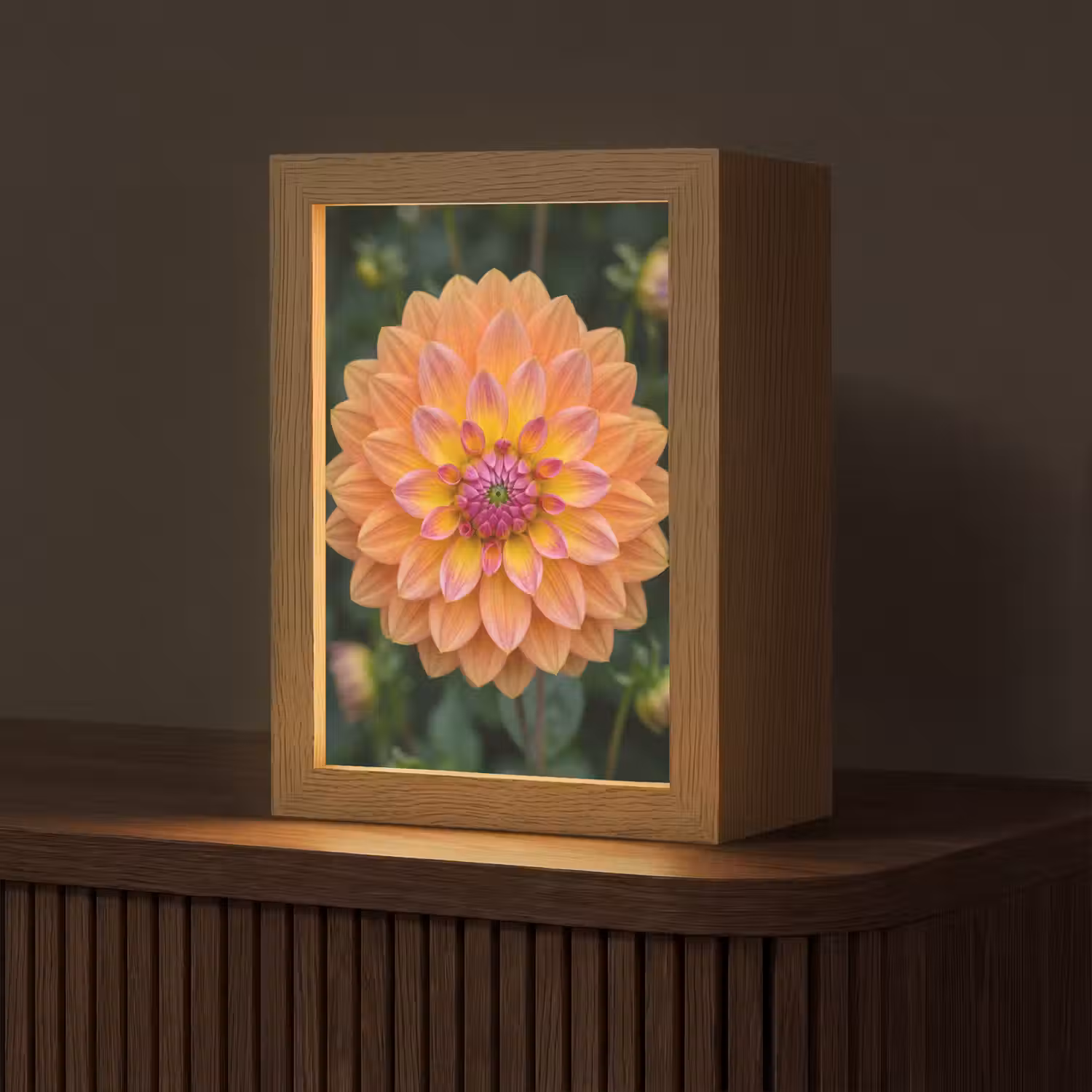 Dahlia - Bloem - Oranje Light Box met kabel (Tafellamp) klein -z3d_website