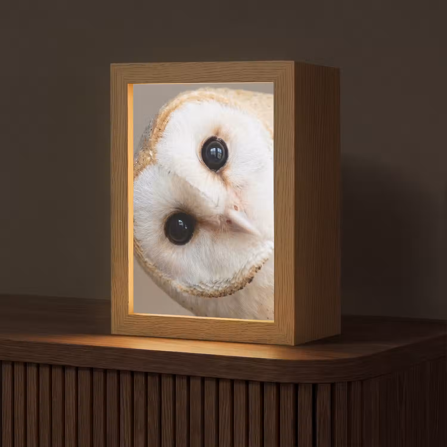 Uil - Bruin - Wit Light Box met kabel (Tafellamp) klein -z3d_website