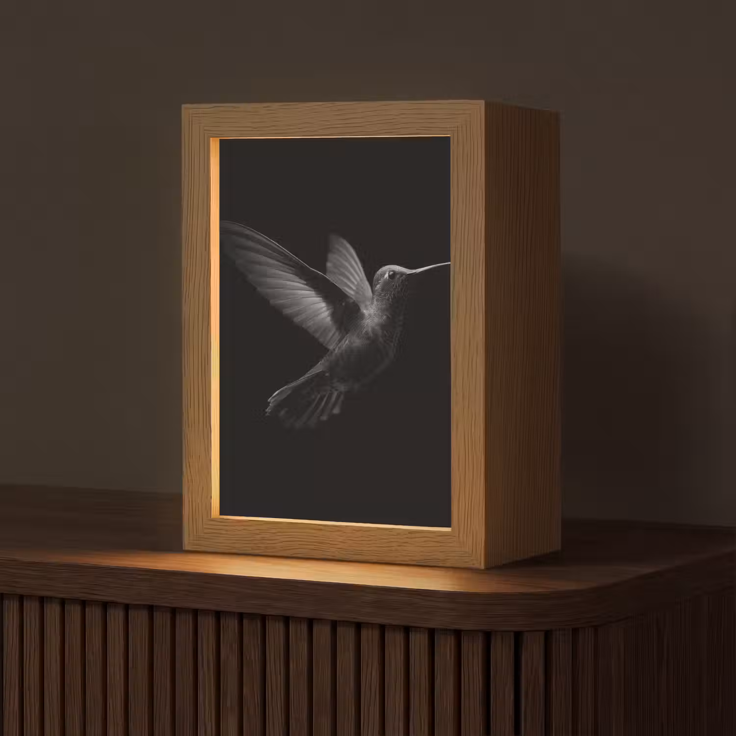 Kolibrie - Zwart - Dieren Light Box met kabel (Tafellamp) klein -z3d_website
