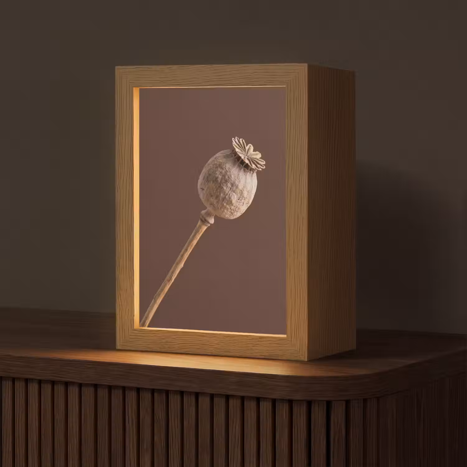 Papaverbol - Droogbloem - Bruin - Minimalistisch Light Box met kabel (Tafellamp) klein -z3d_website