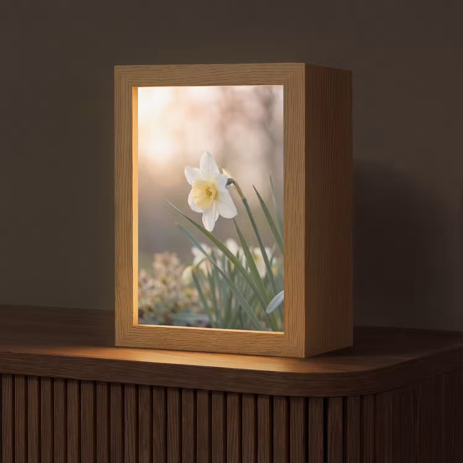 Narcis - Bloem - Minimalistisch Light Box met kabel (Tafellamp) klein -z3d_website
