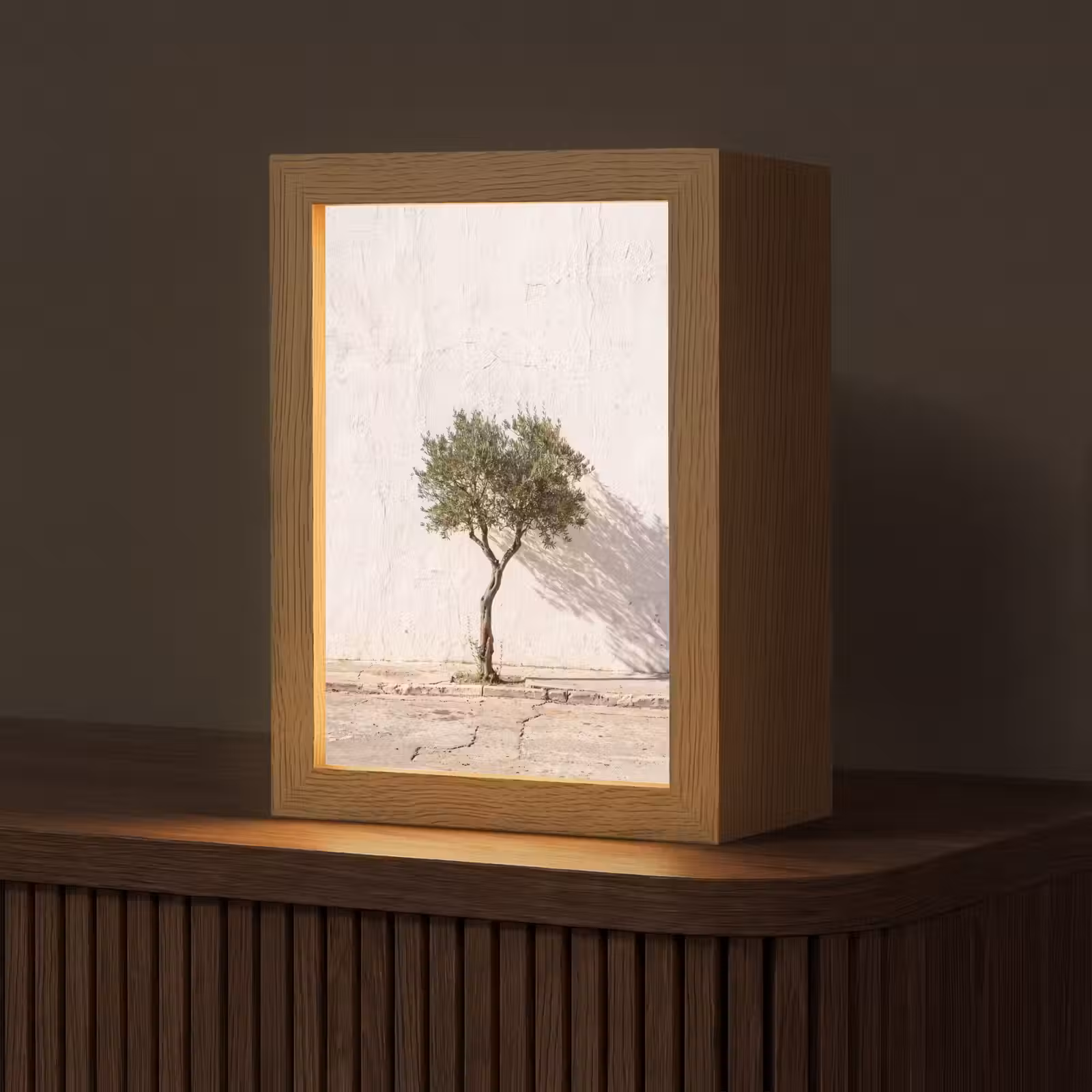 Tischlampe - Olivenbaum – Wand – weiß - Olijfboom - muur - wit Light Box met kabel (Tafellamp) klein