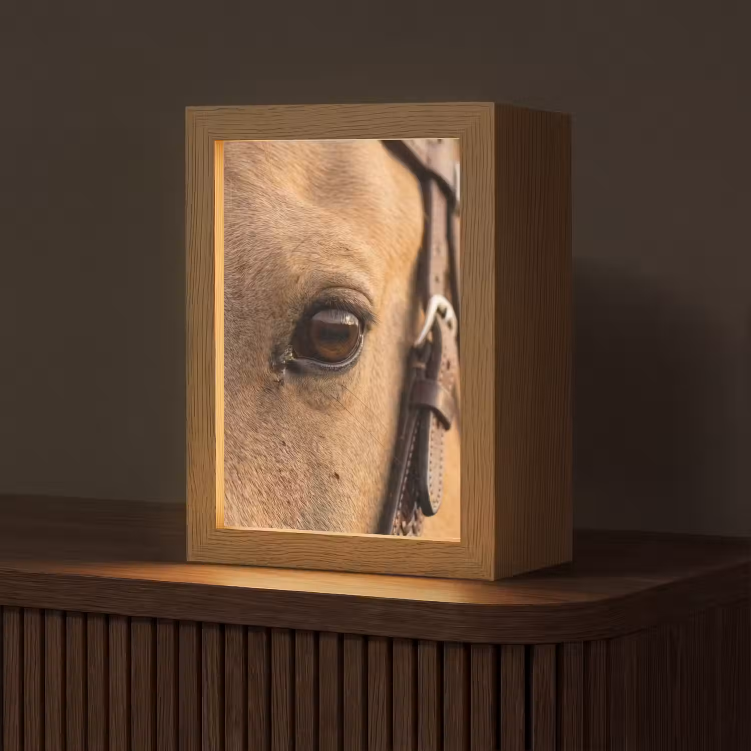 Paard - Oog - Bruin Light Box met kabel (Tafellamp) klein -z3d_website