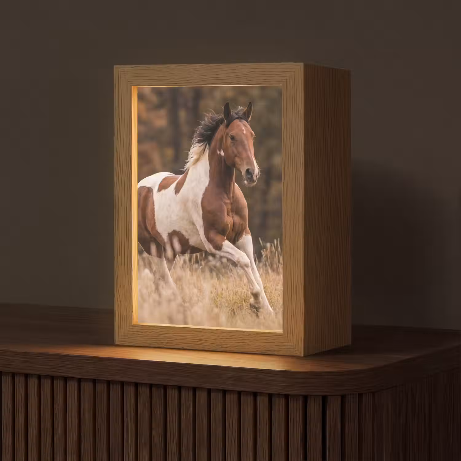 Paard - Bruin - Gras Light Box met kabel (Tafellamp) klein -z3d_website