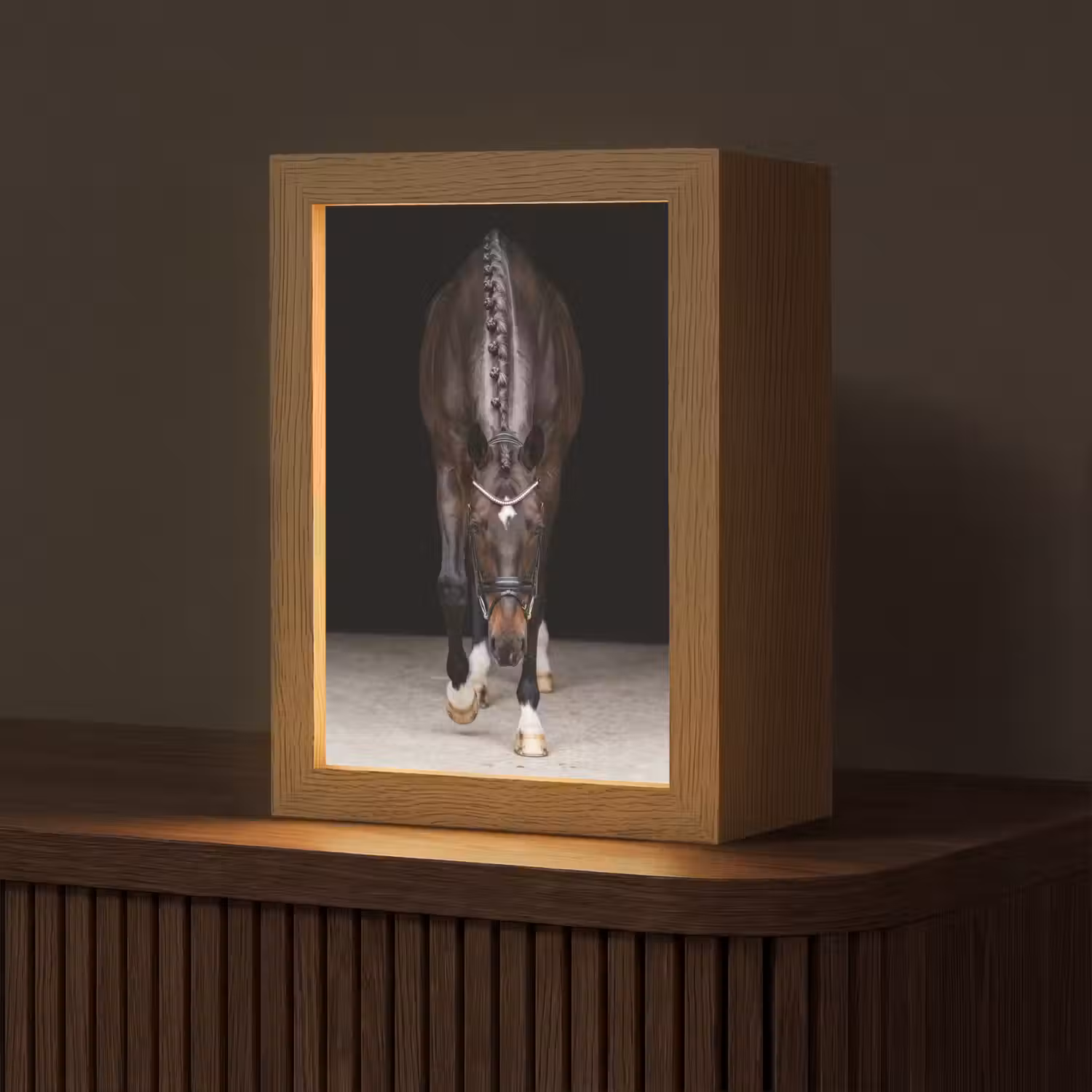Paard - Modern - Portret Light Box met kabel (Tafellamp) klein -z3d_website