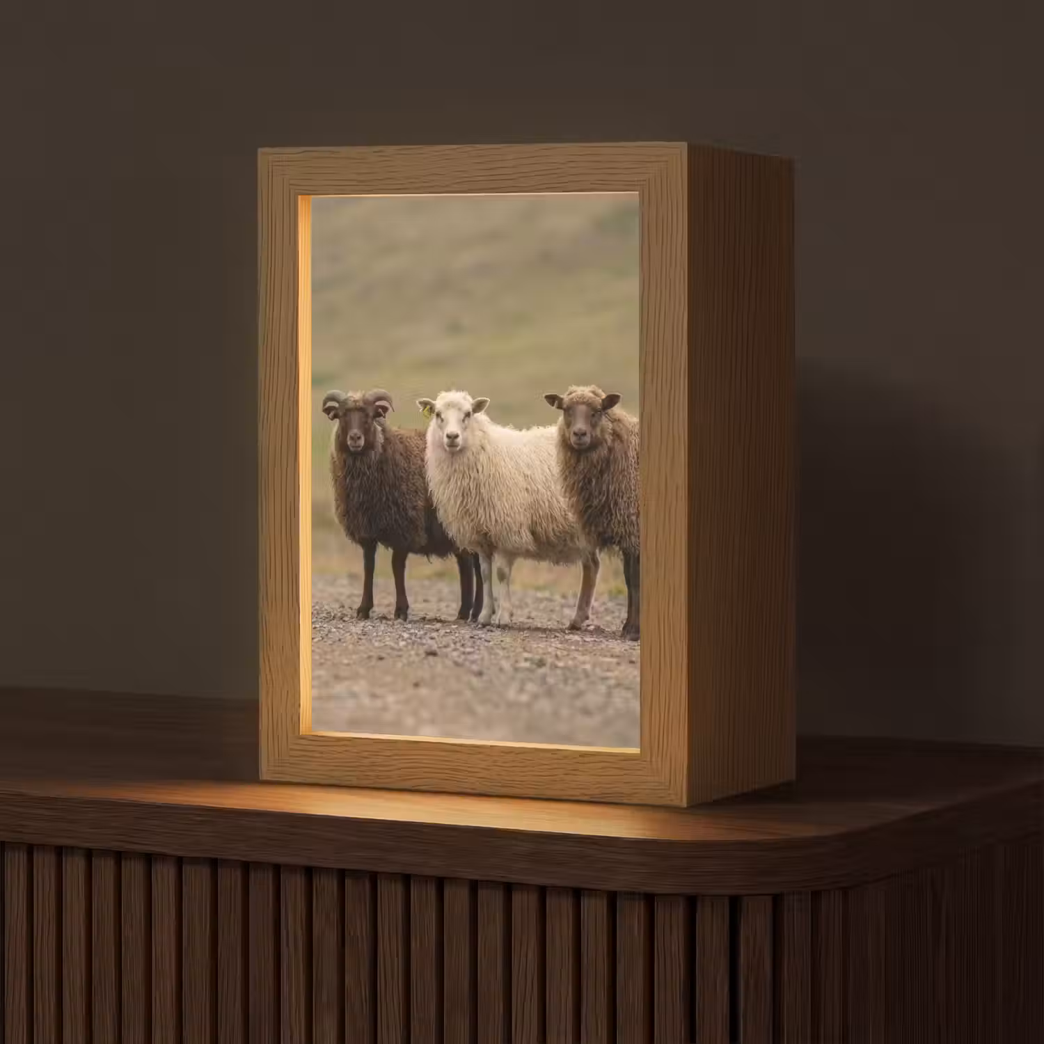 Schapen - Bruin - Wit - Grindpad Light Box met kabel (Tafellamp) klein -z3d_website